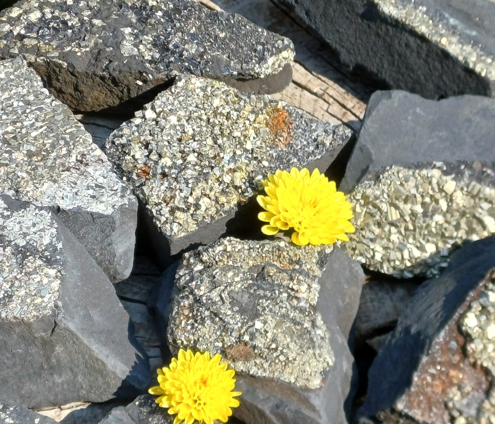 Jak poznat pravý šungit?