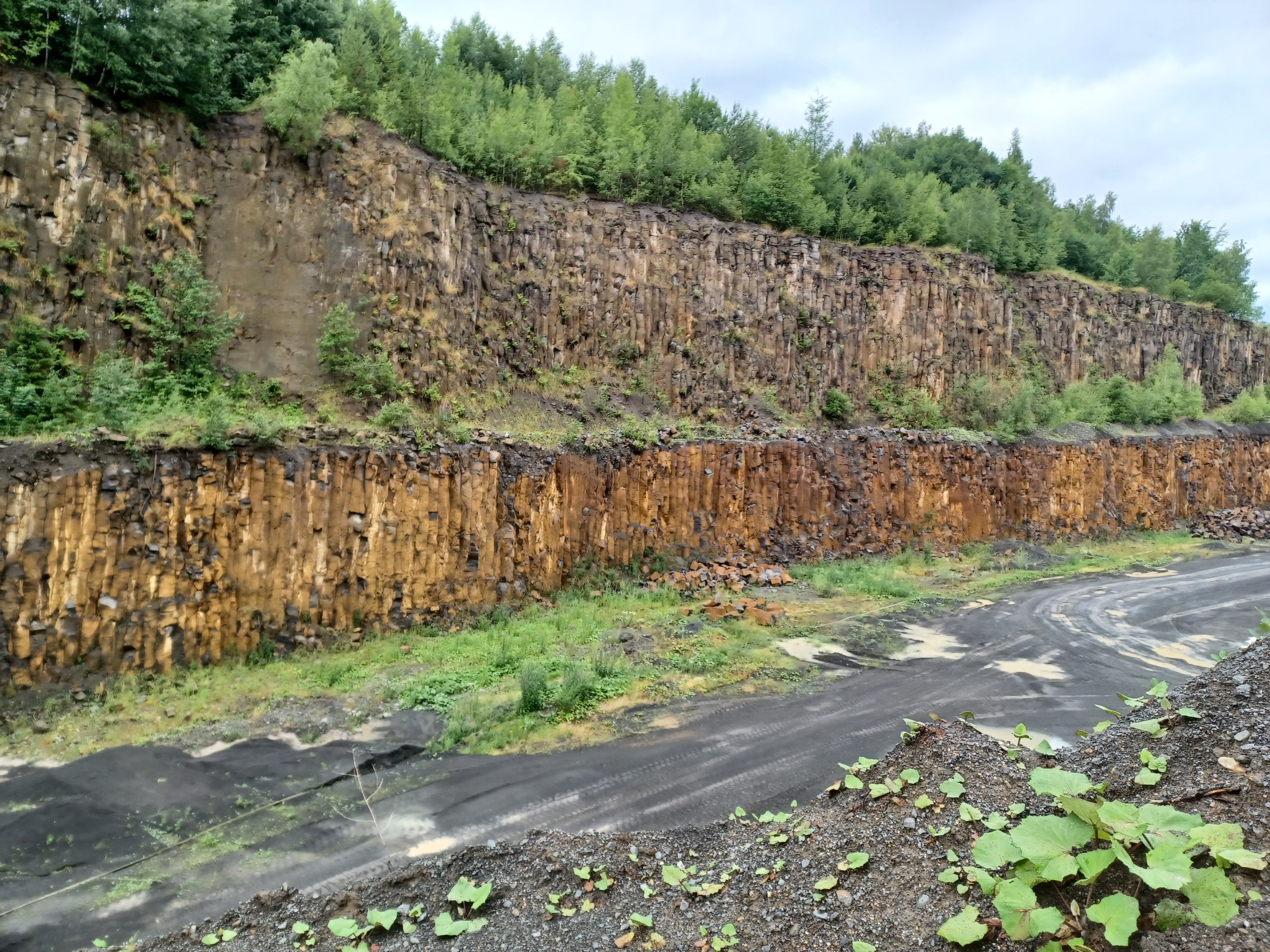 Olivíny ze Smrčí: zelený poklad z nitra Země