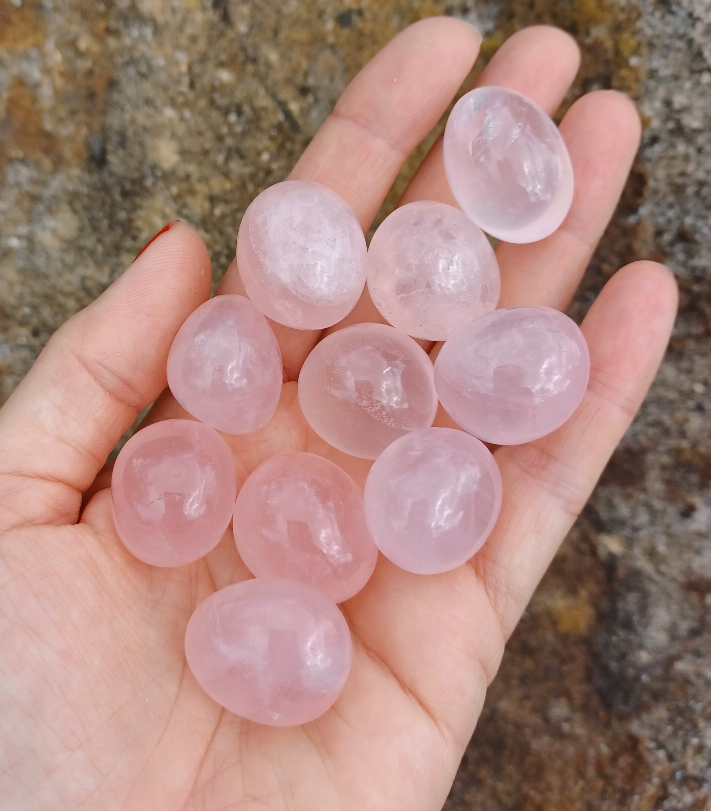 Asterický růženín M