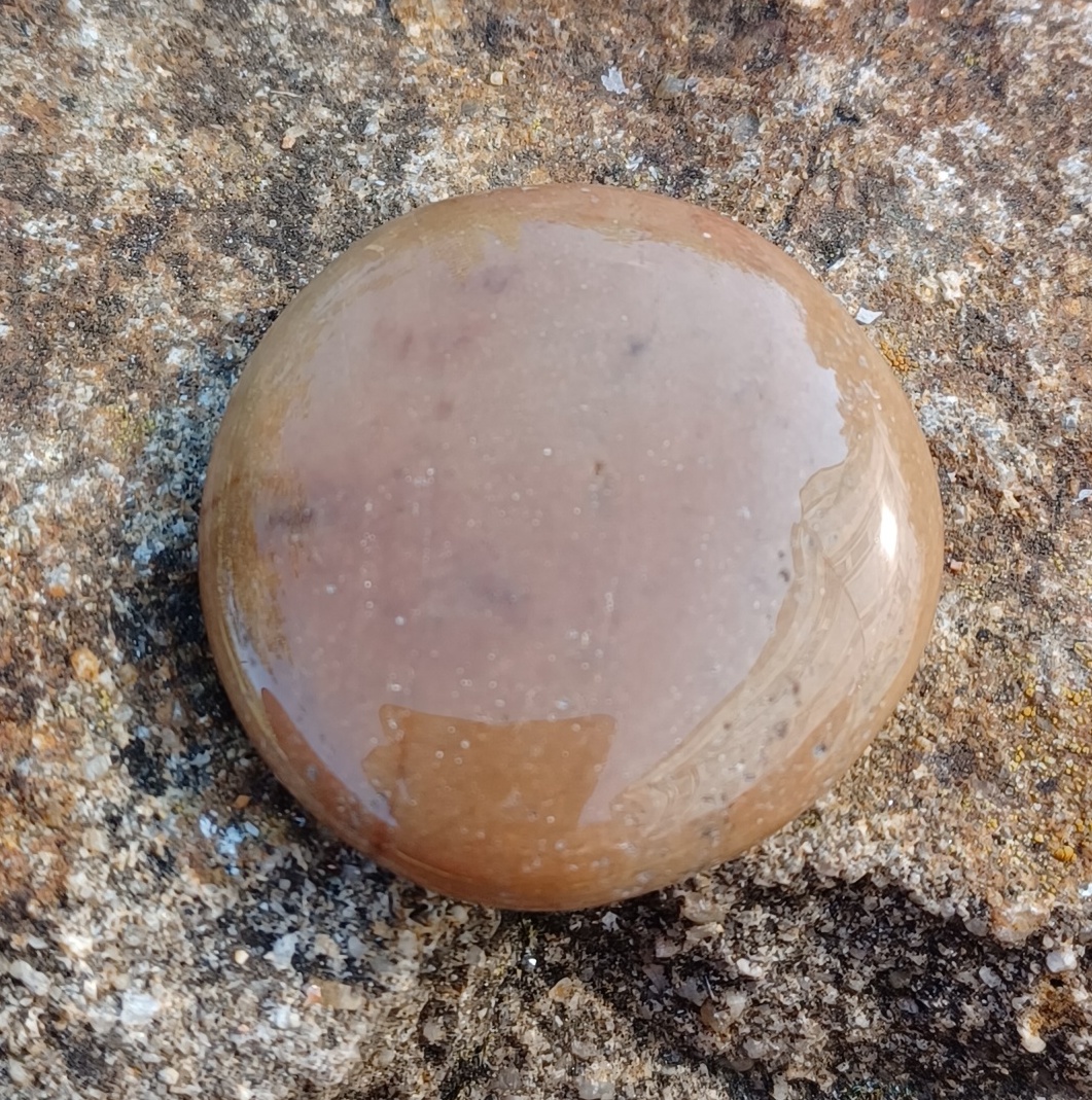 Zkamenělé dřevo hmatka 25g