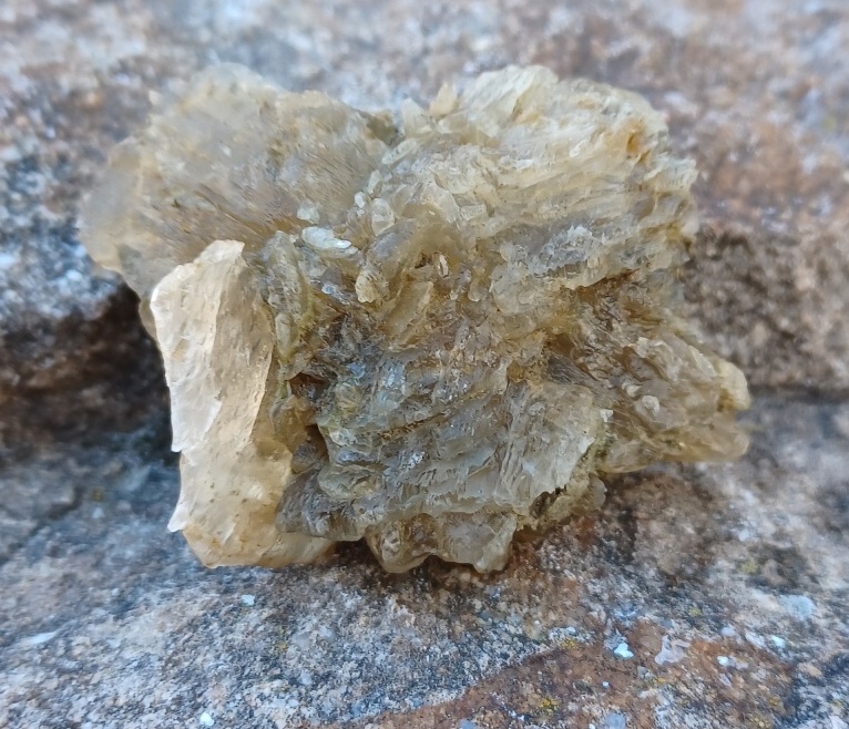 Sádrovec ČR 55g