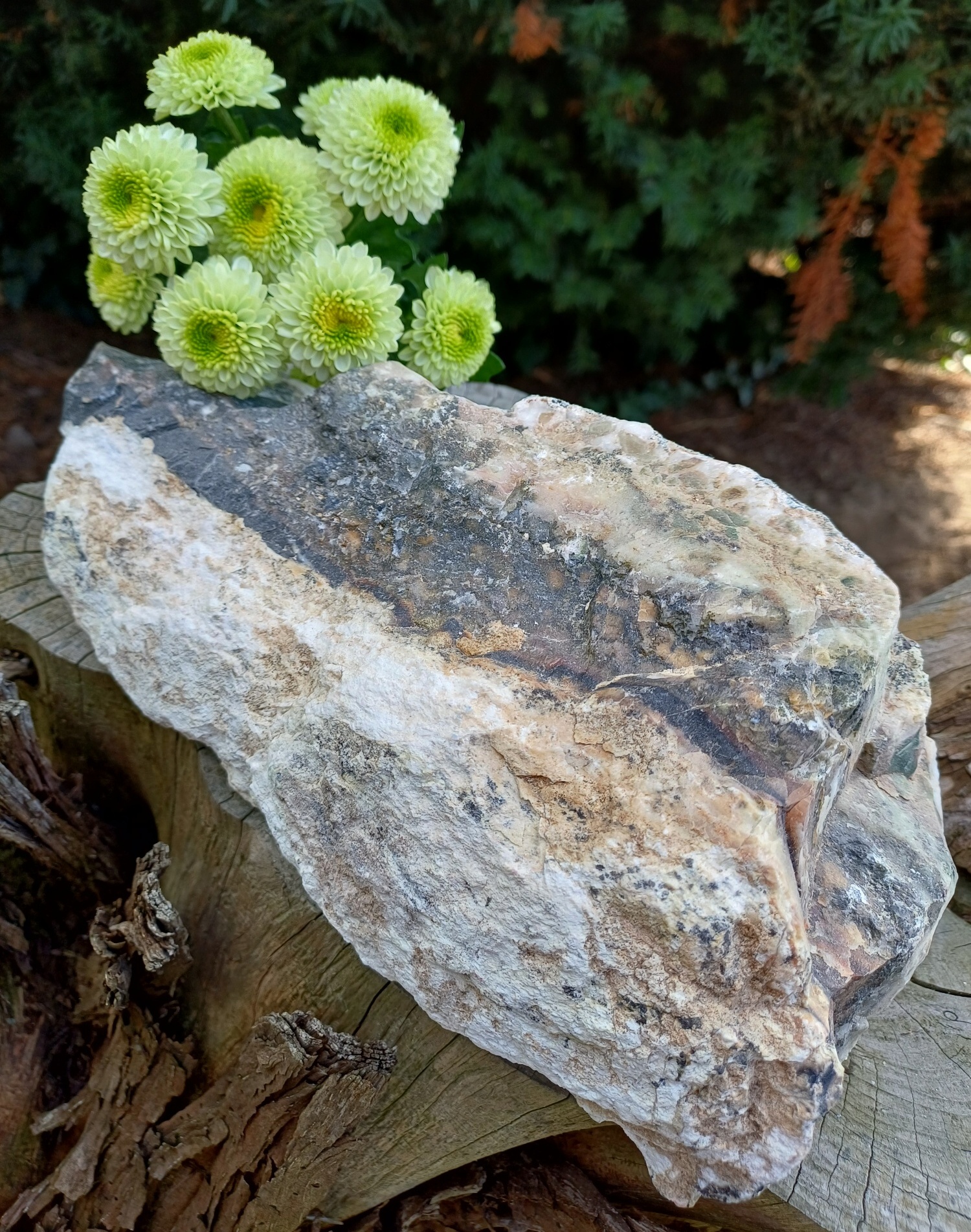 Sardonyx 3150g