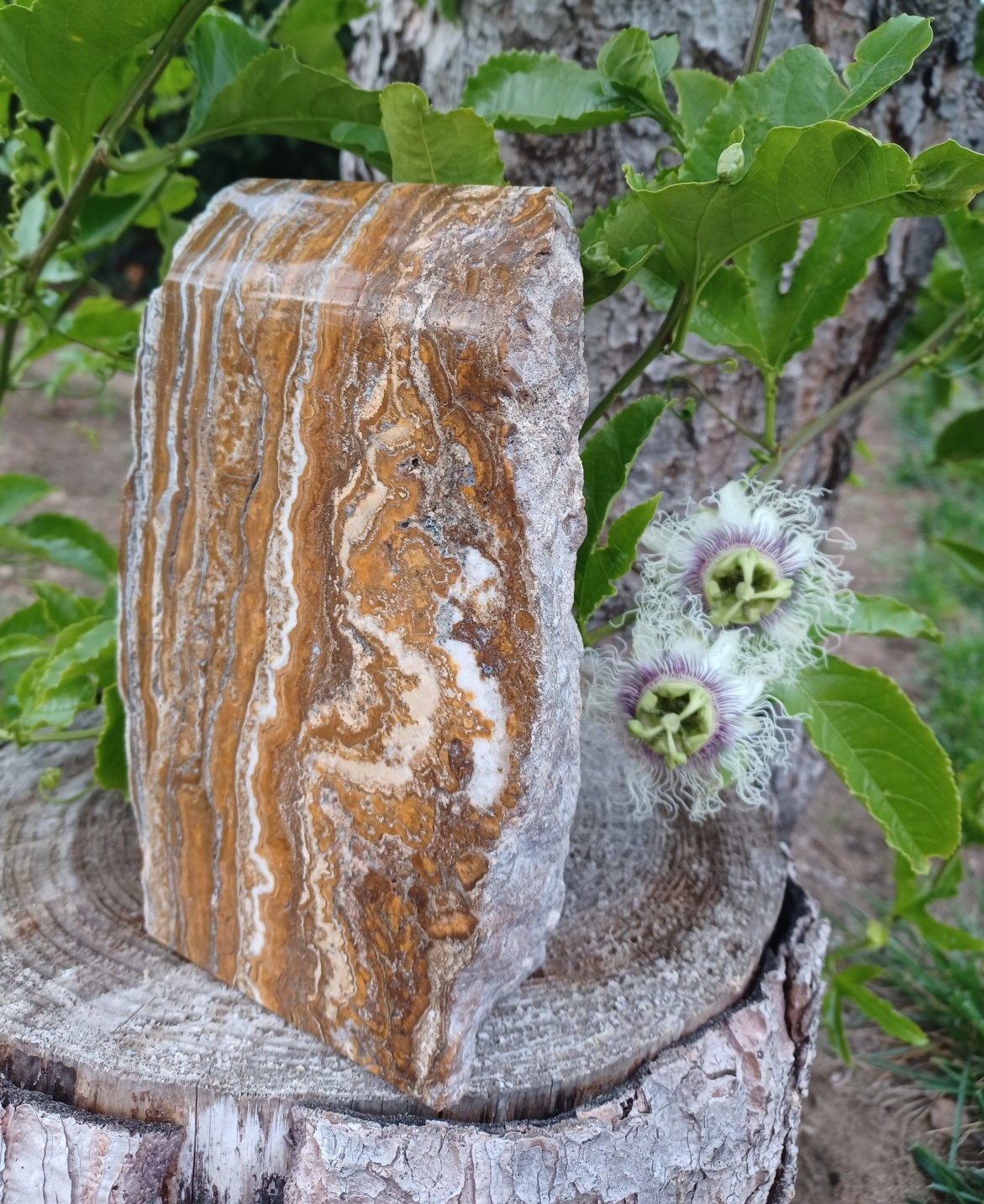 Aragonit těžítko 2300g