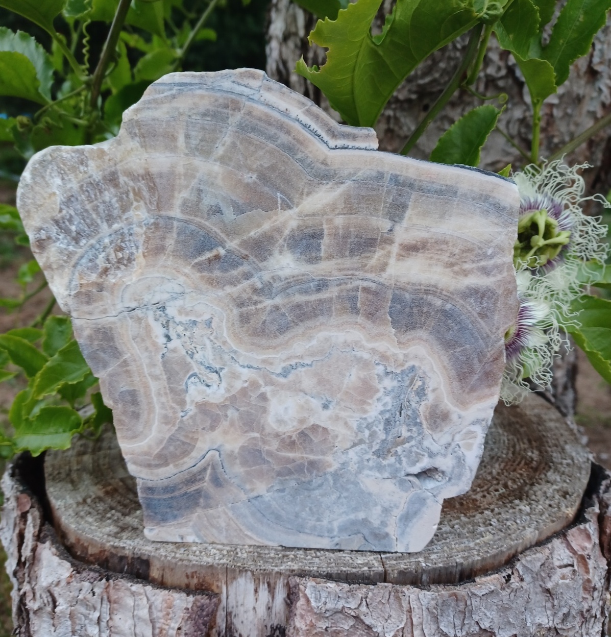 Aragonit těžítko 1600g