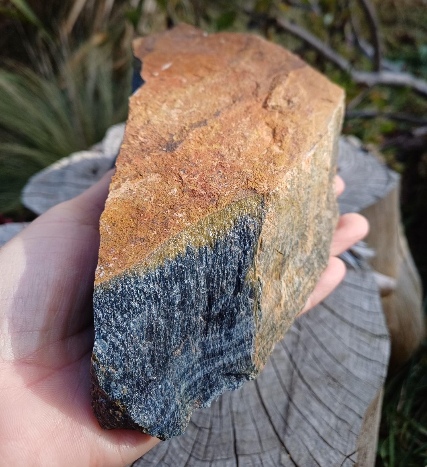Sokolí oko 1050g