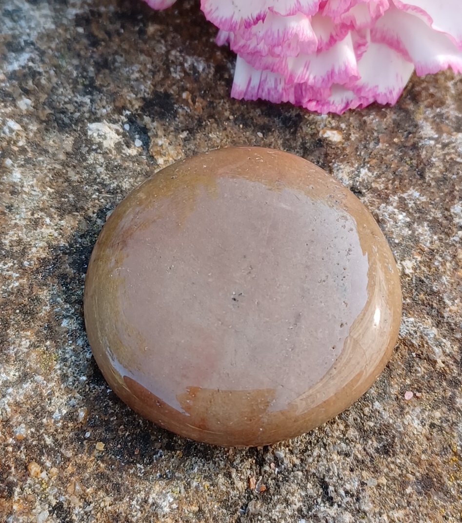 Zkamenělé dřevo hmatka 25g
