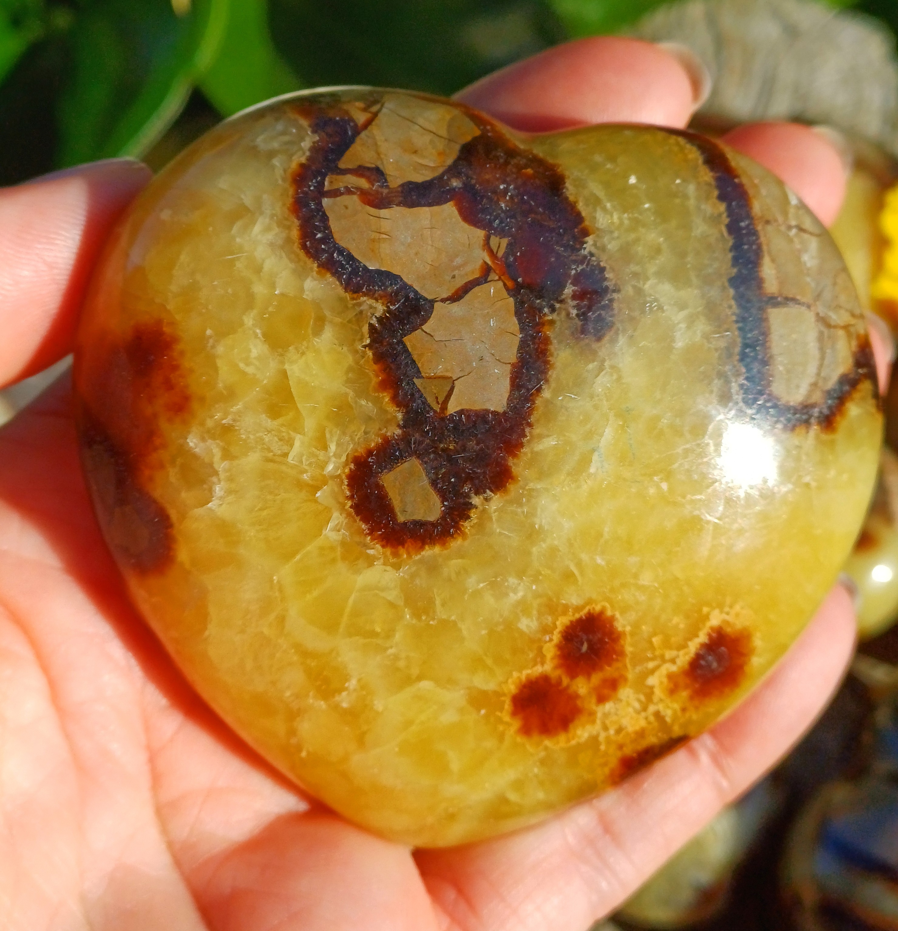 Septárie srdce 255g