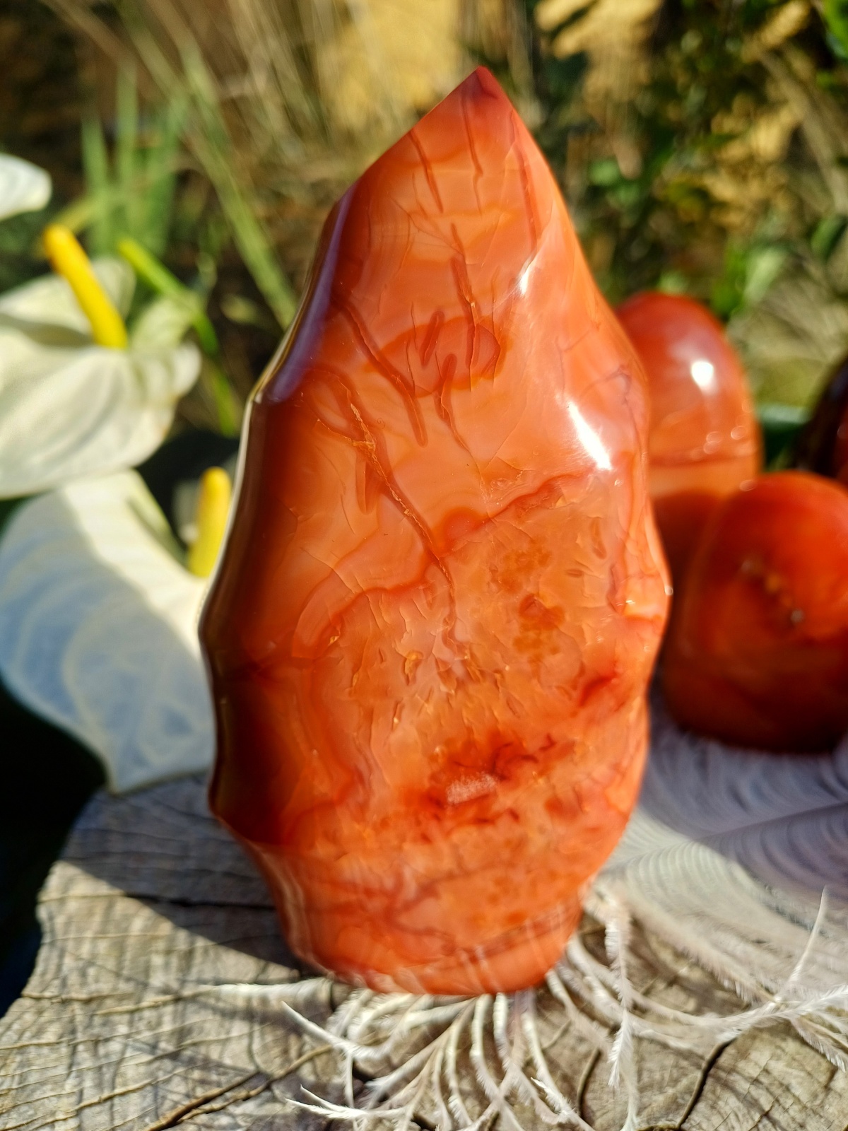 Karneol plamen 600g