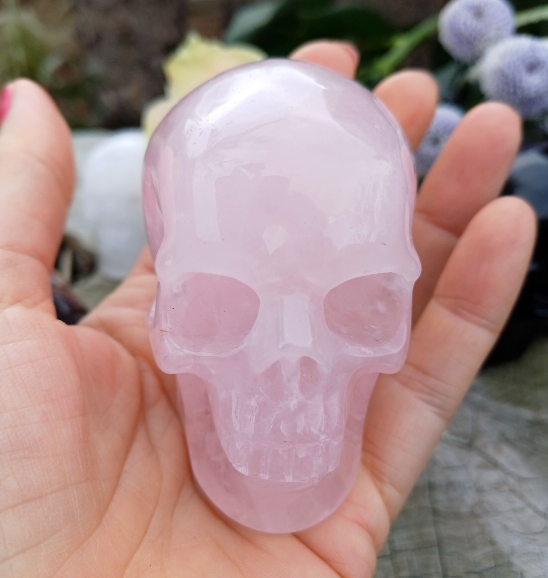 Lebka růženín 300g