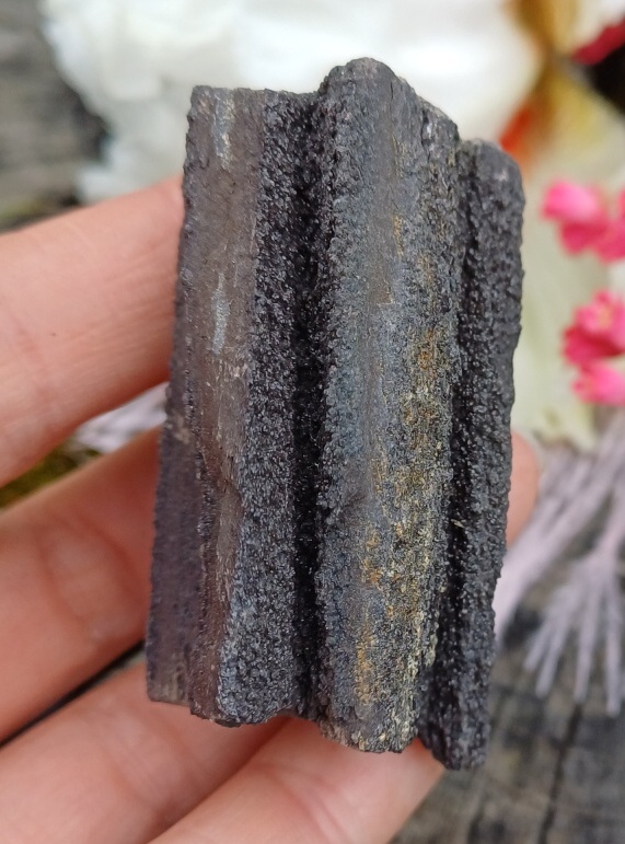 Zkamenělé dřevo jiskřivec 45g