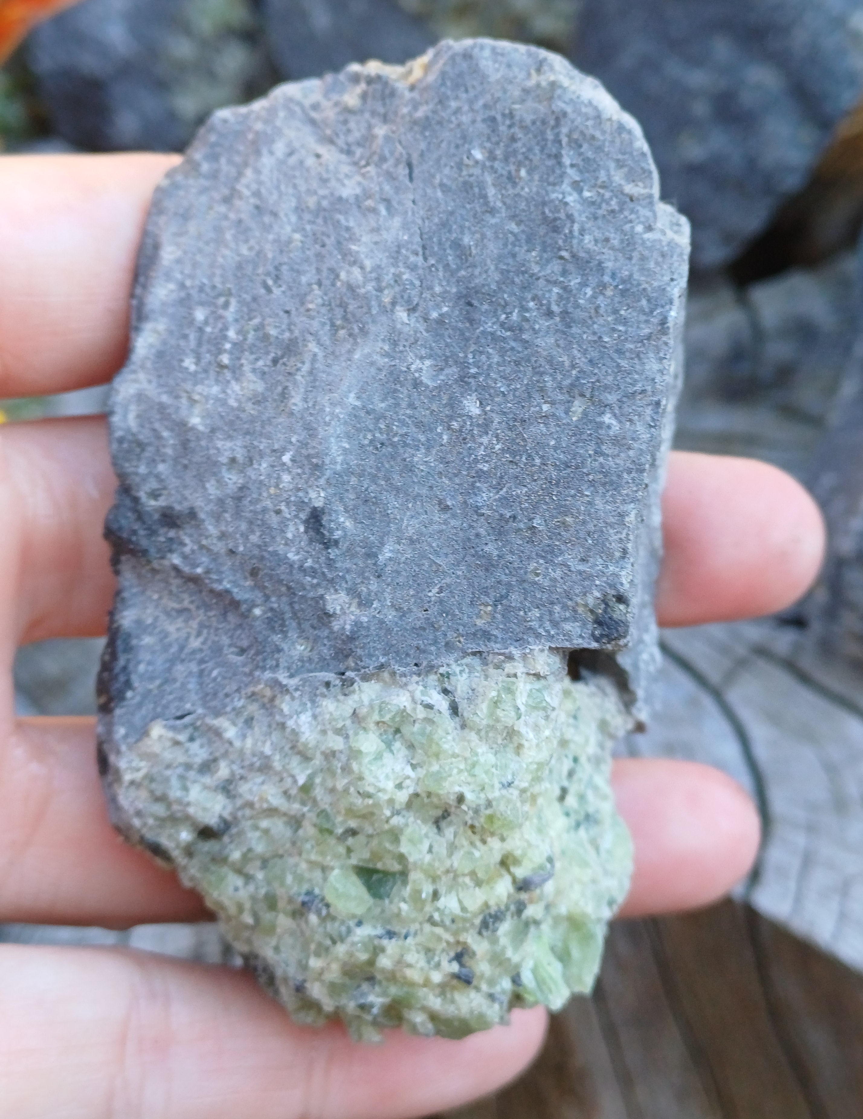 Olivín ČR 165g