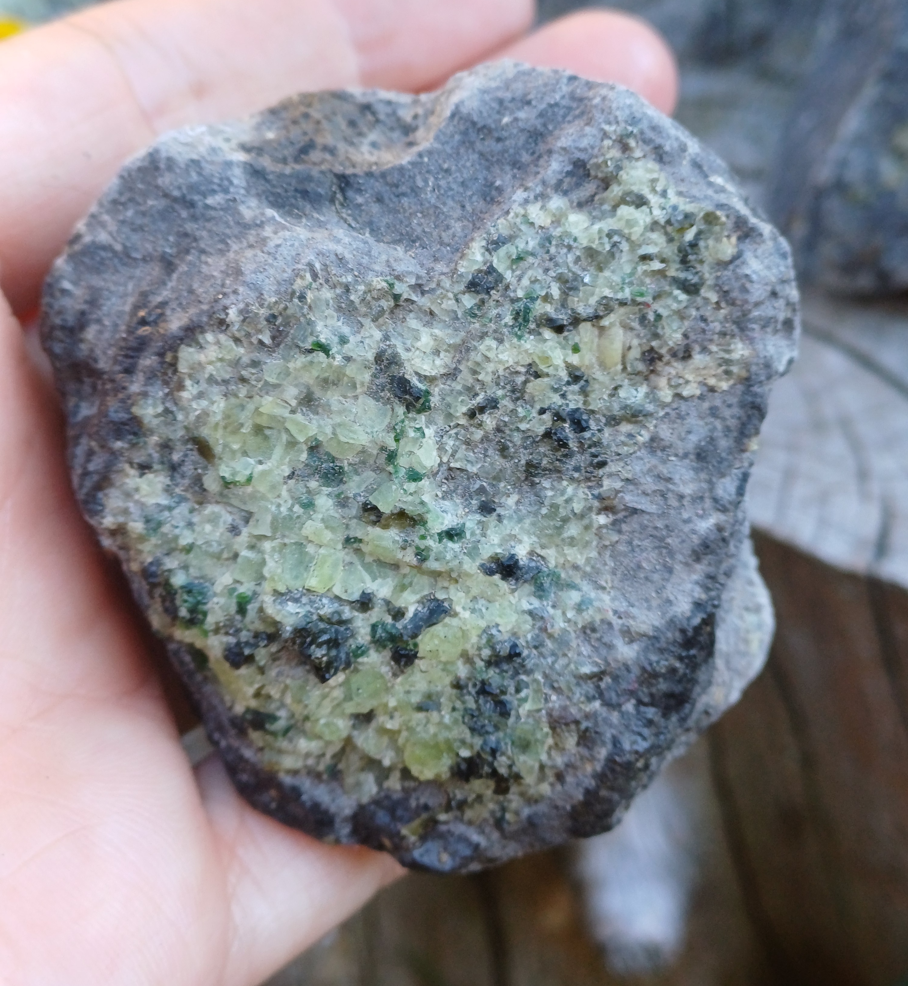 Olivín ČR 210g