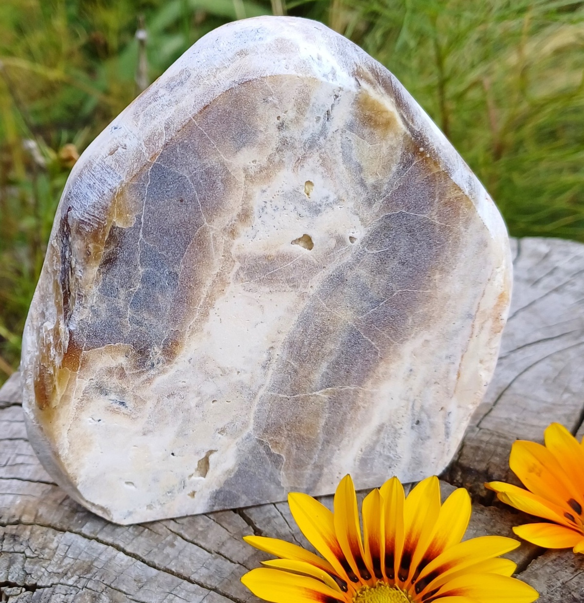 Aragonit leštěný řez 405g