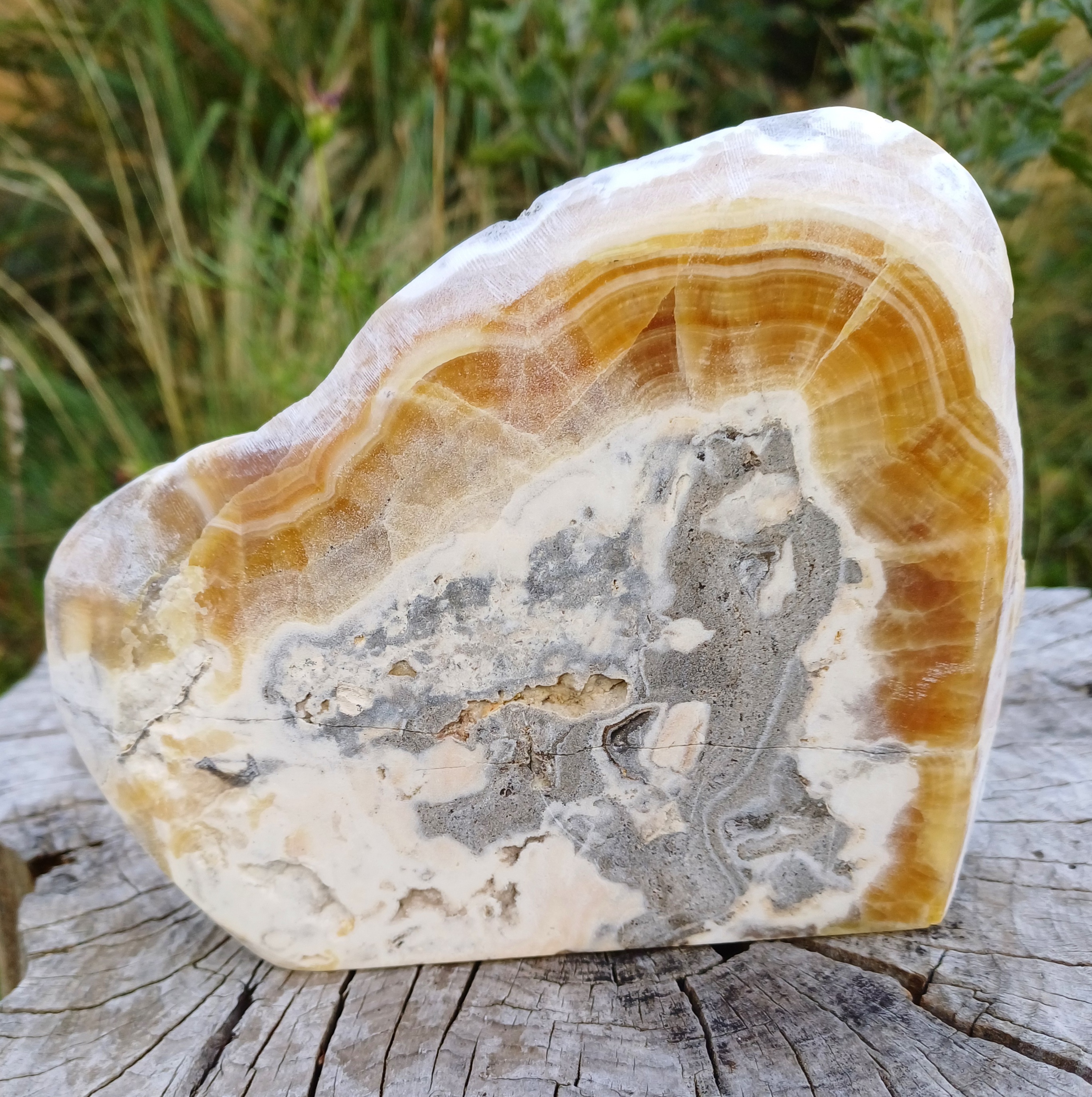 Aragonit leštěný řez 780g