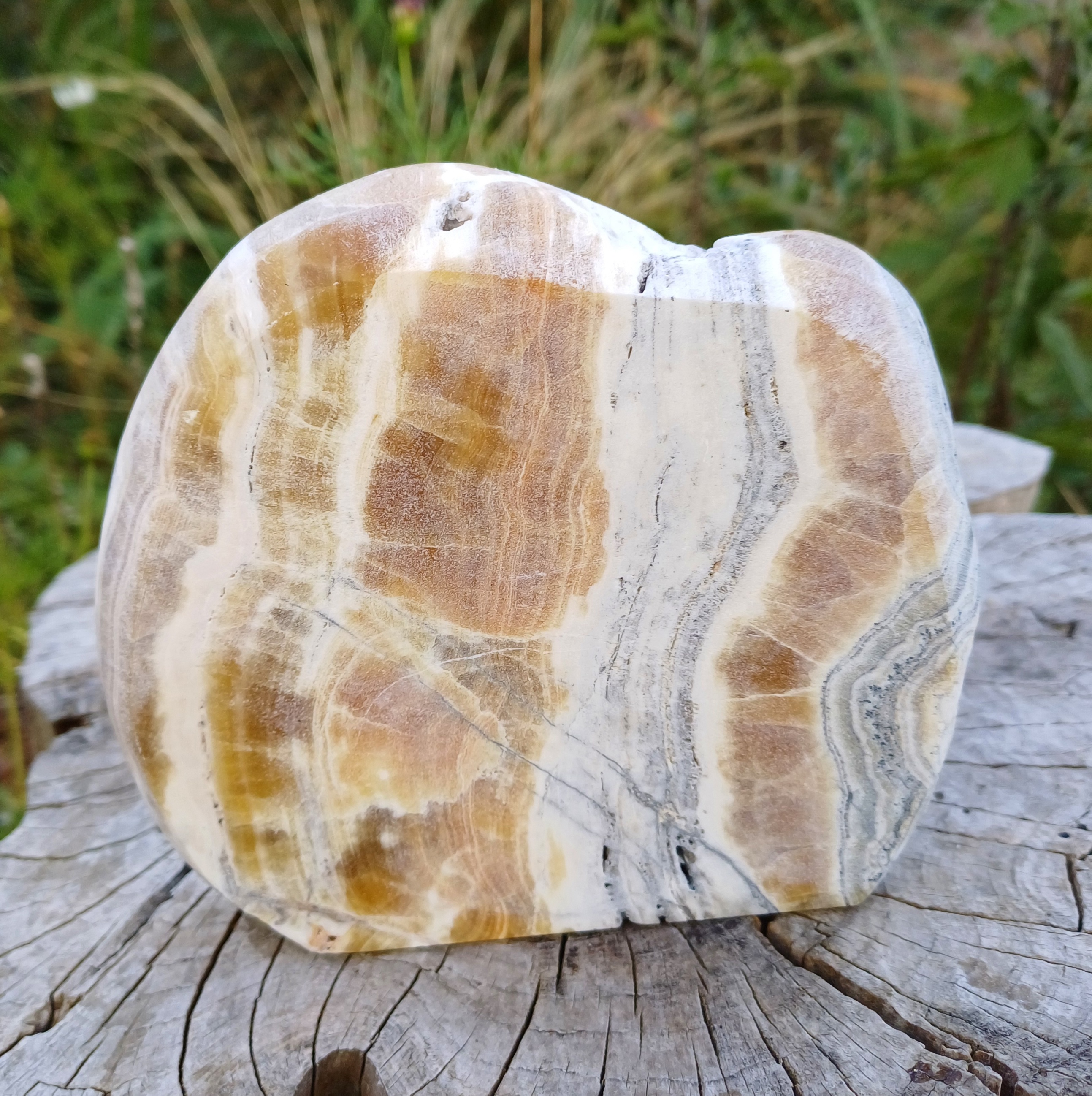 Aragonit leštěný řez 590g