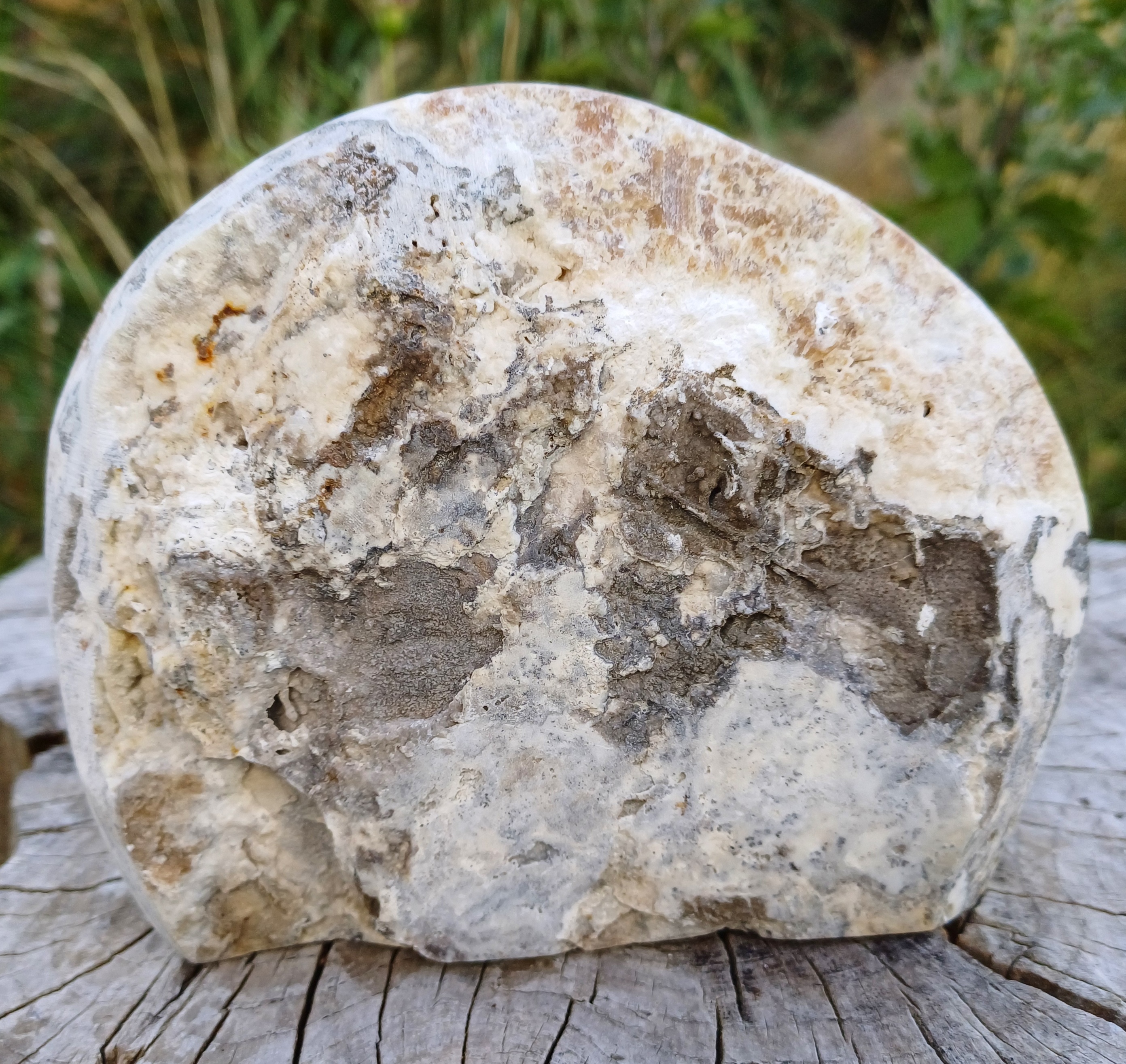 Aragonit leštěný řez 650g