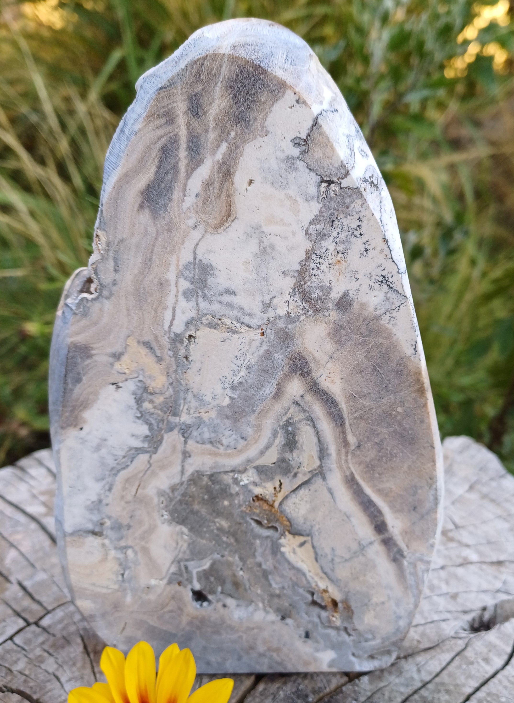 Aragonit těžítko 740g