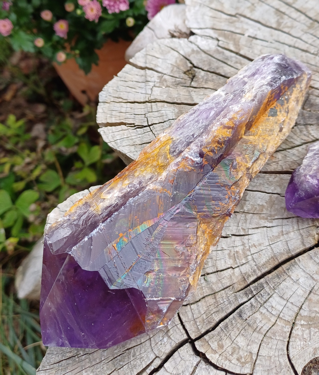  Ametyst špice extra kvalita 285g