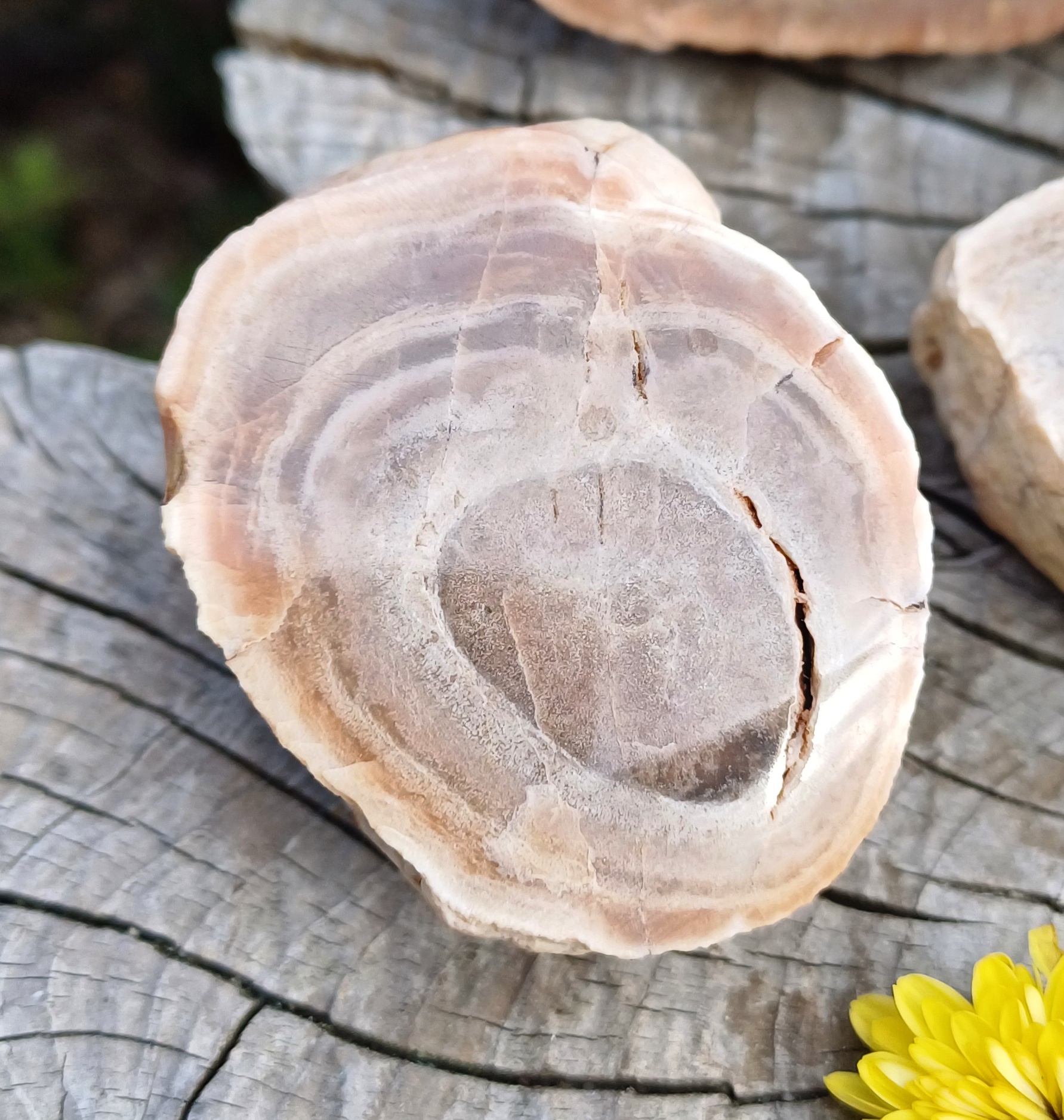 Kvarcín ČR 75g