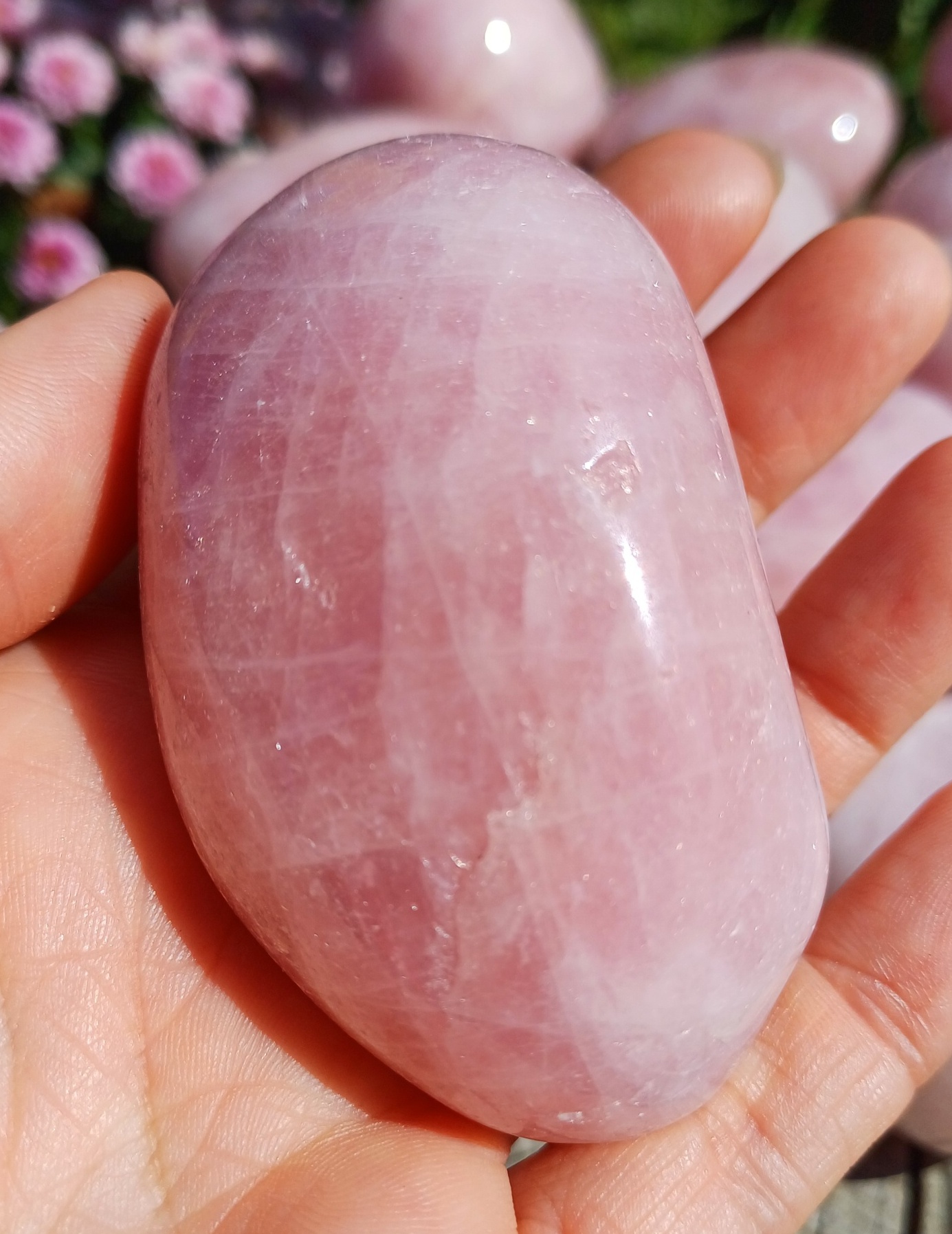Růženín 175g