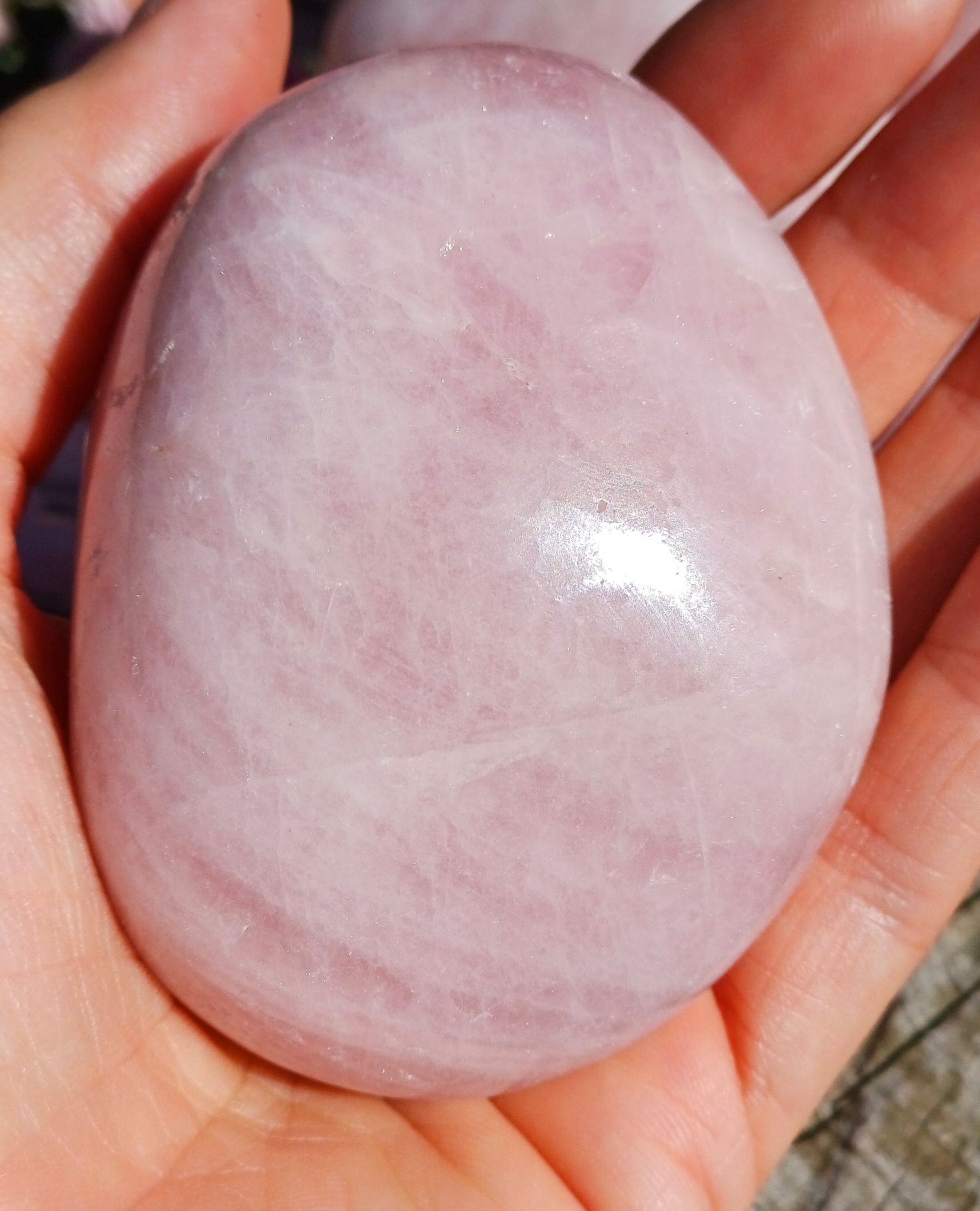Růženín 265g