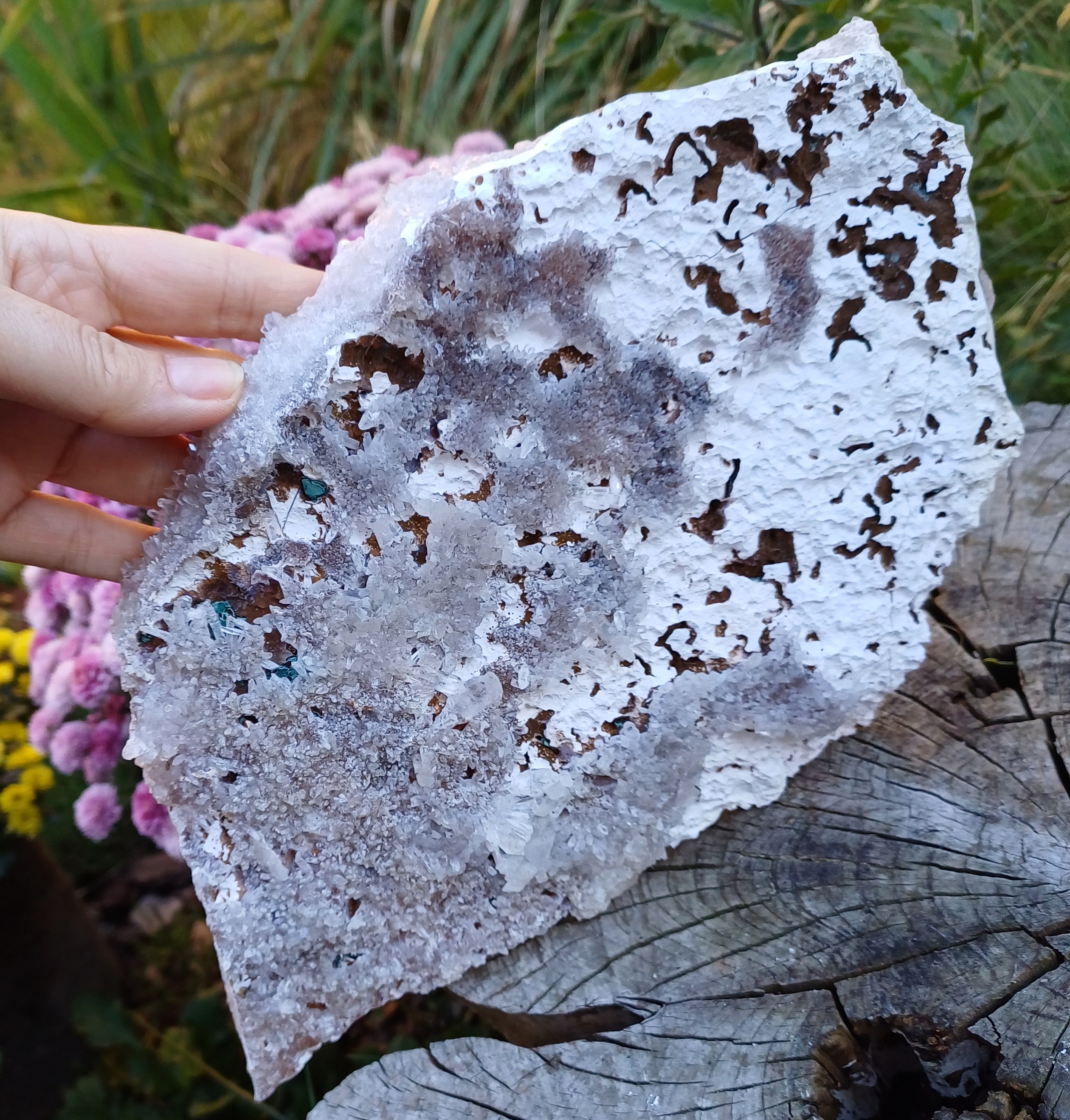 Ametystová růže 1350g