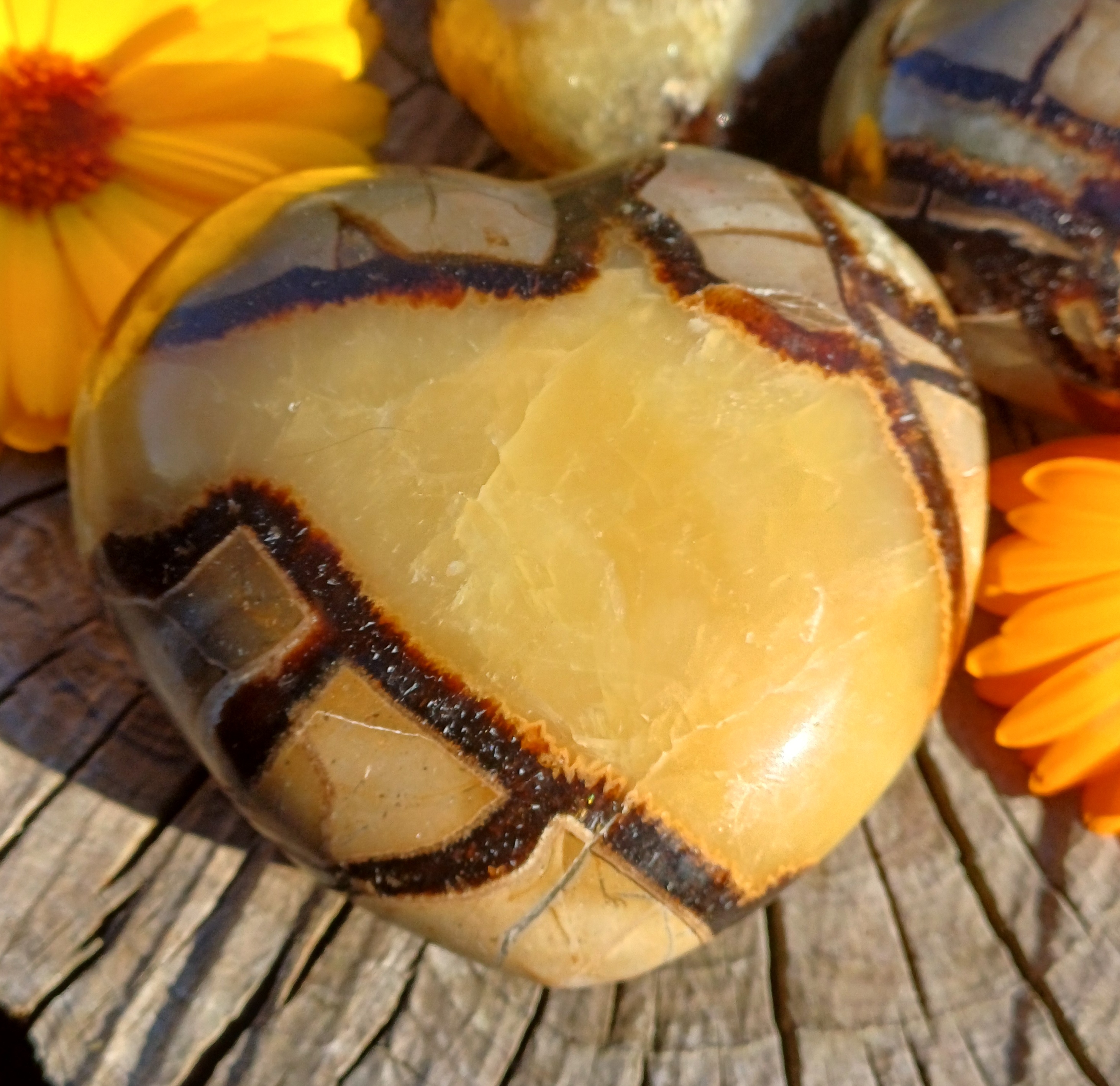 Septárie srdce 265g