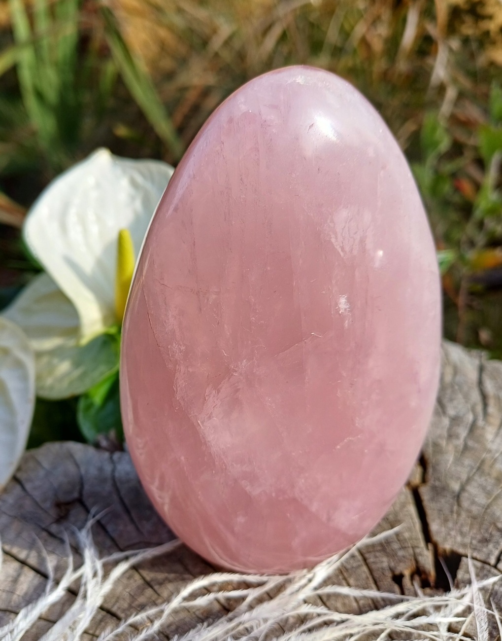 Růženín těžítko 830g