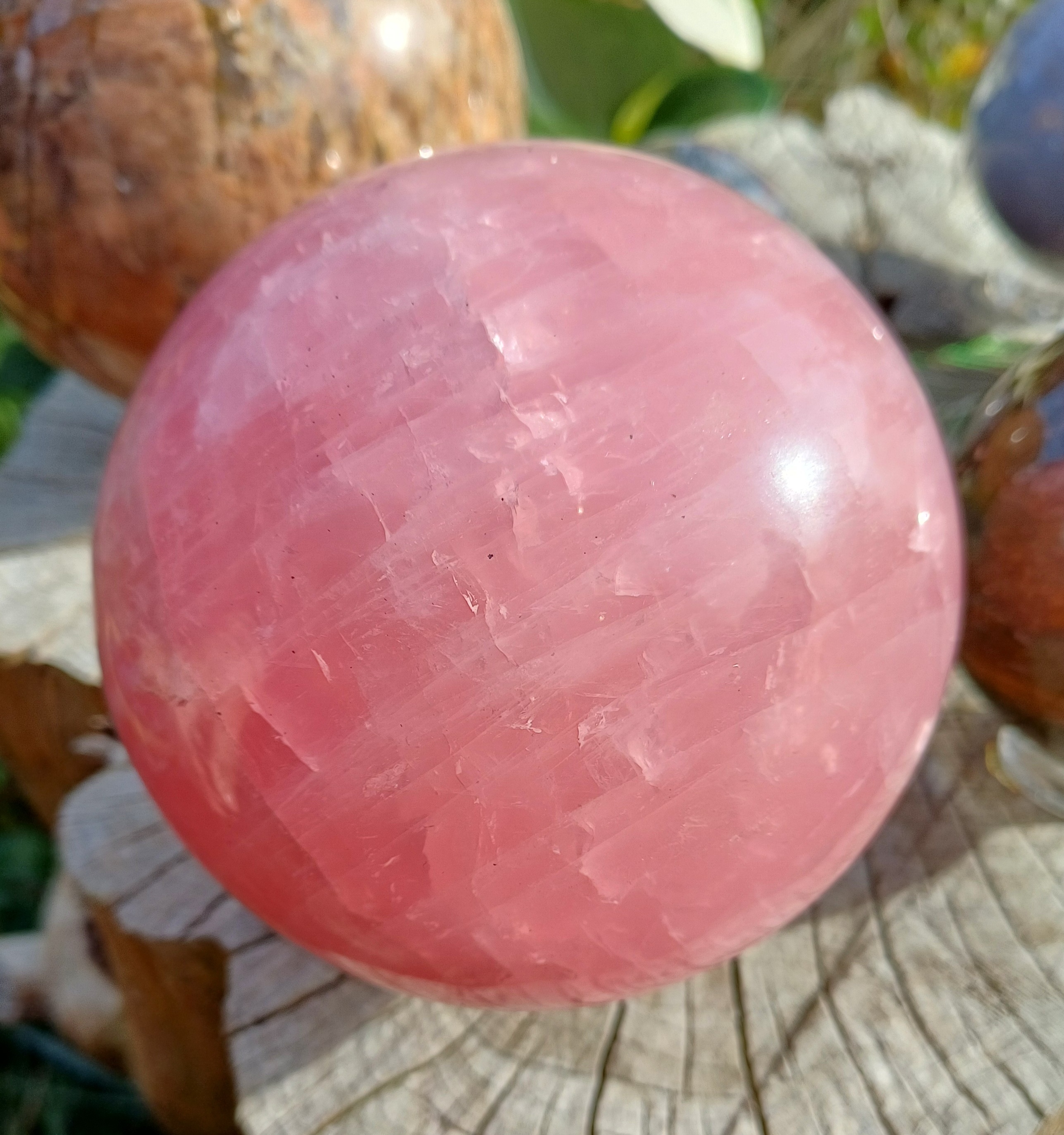 Růženín koule 10 cm