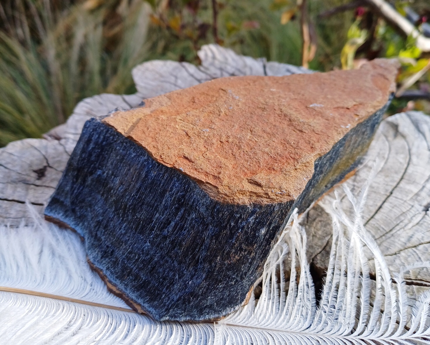 Sokolí oko 770g