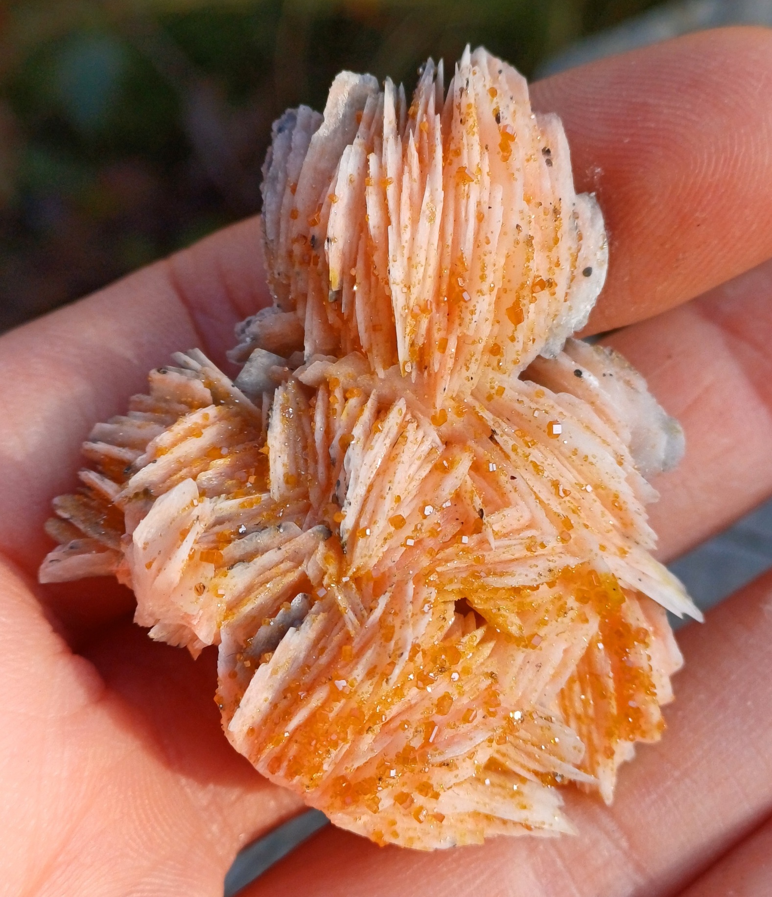 Vanadinit, baryt 30g