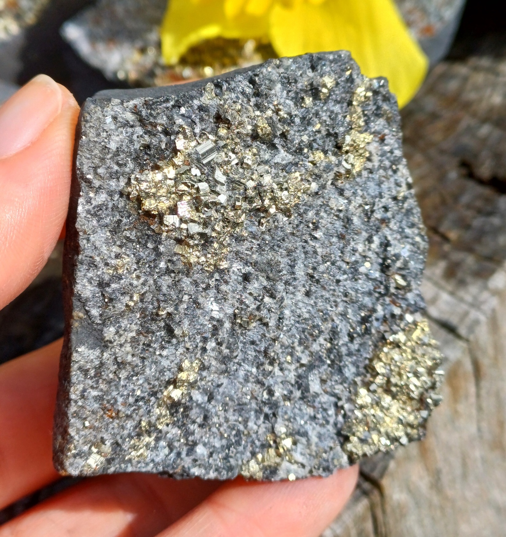 Pyrit na uhlí 110g
