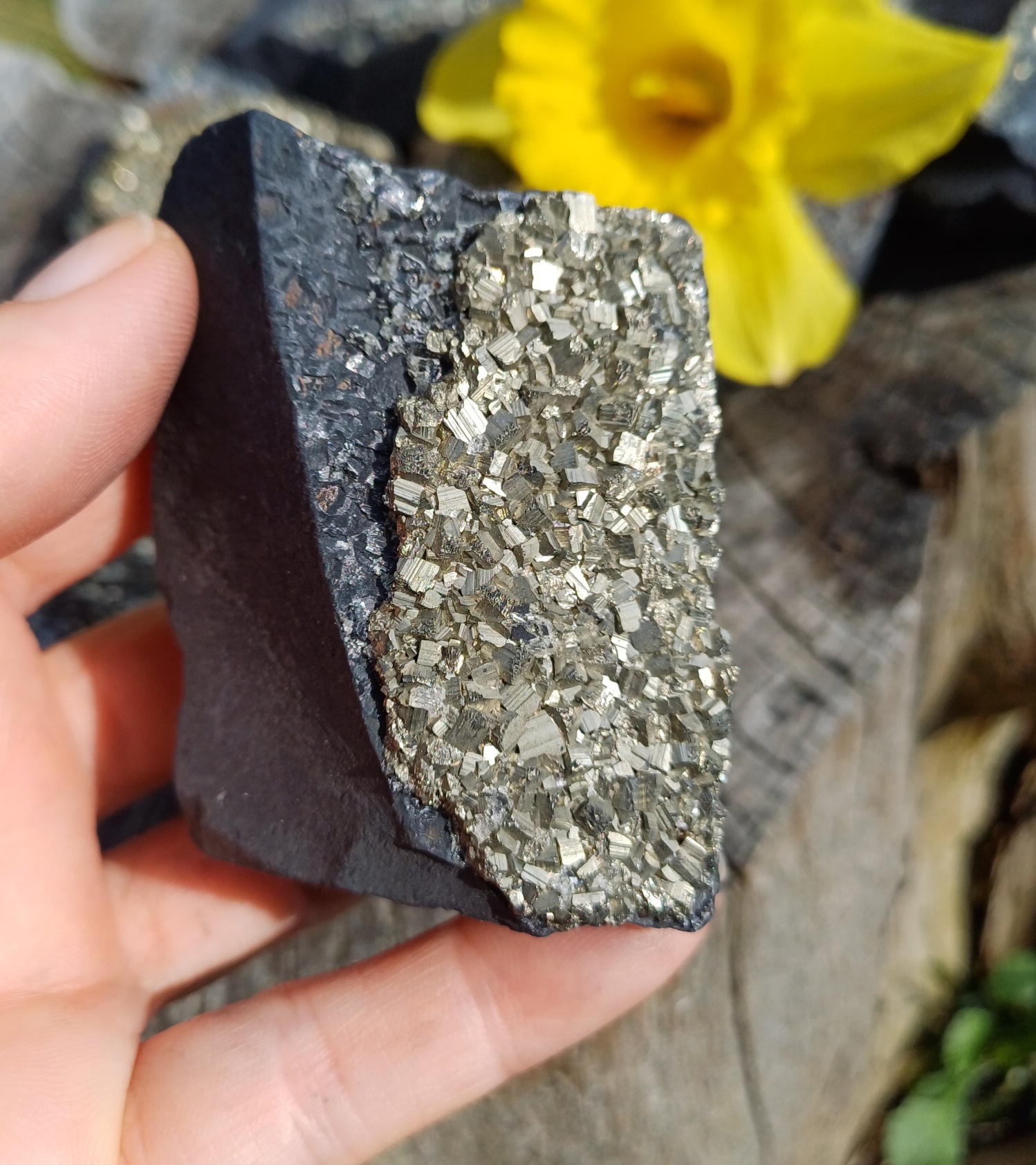 Pyrit na uhlí 125g