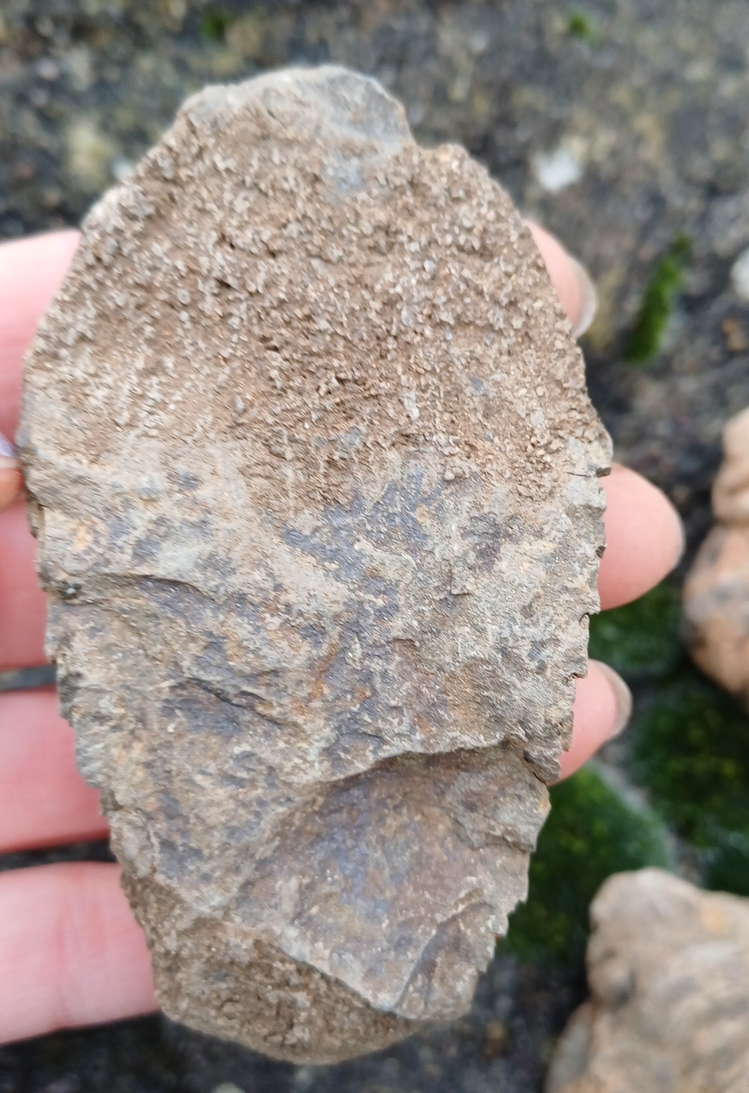 Trilobit 90g