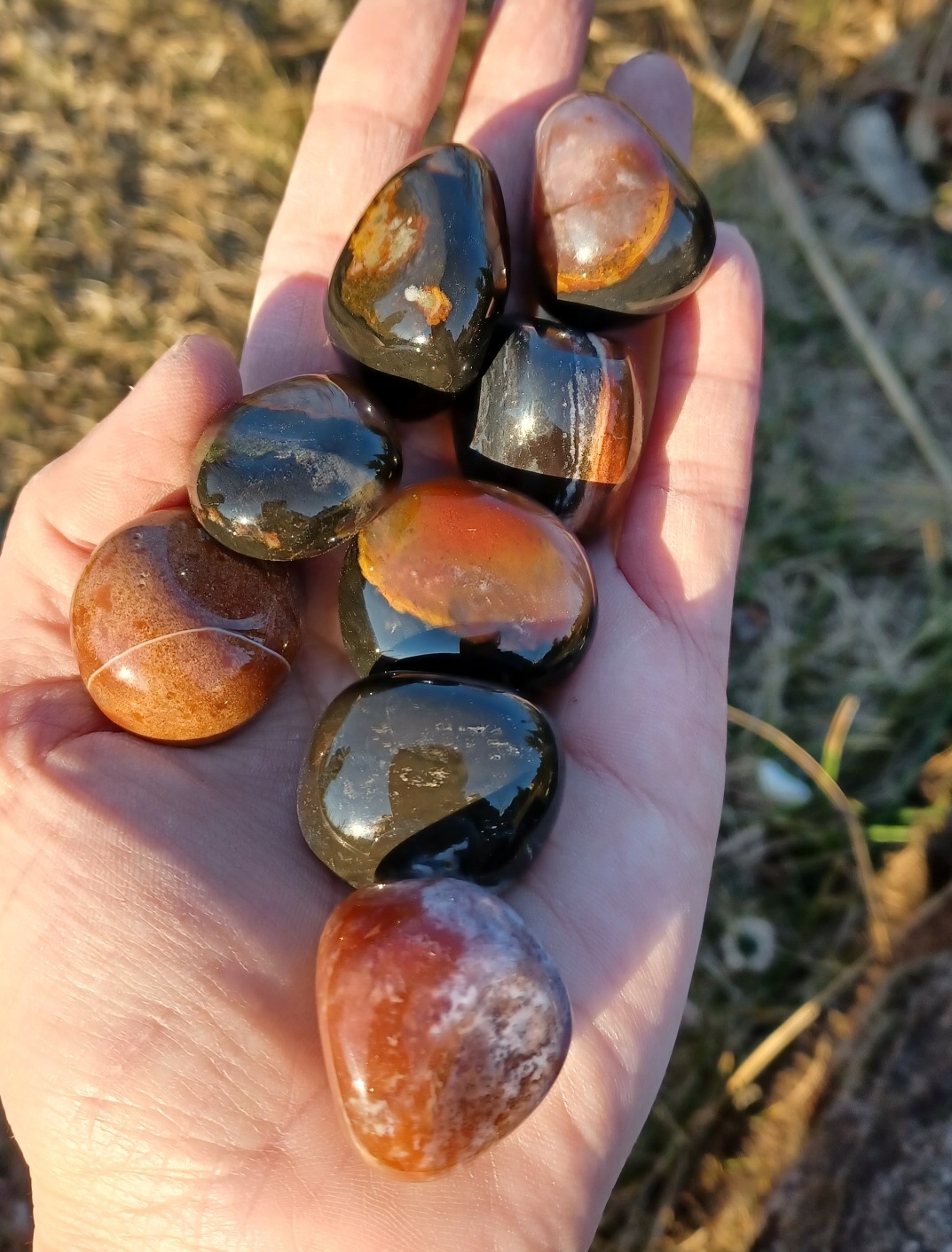 Sardonyx L-XL