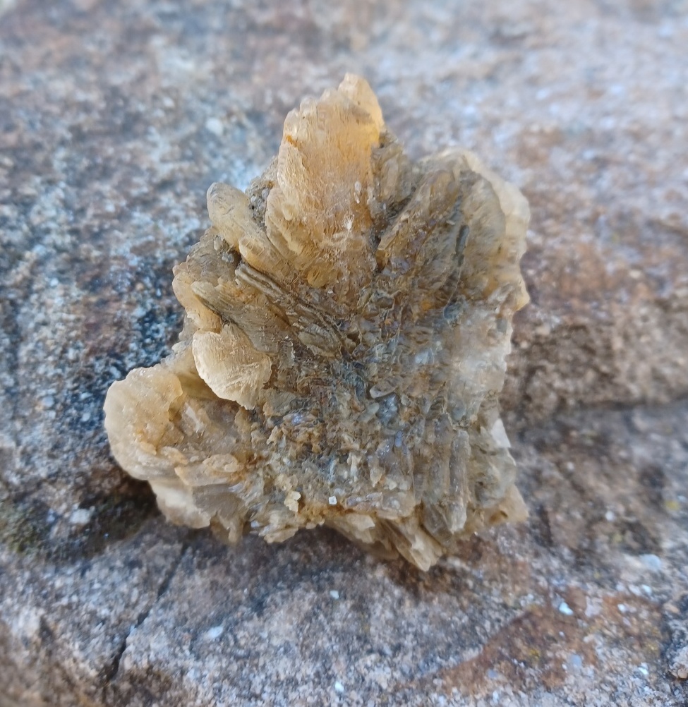 Sádrovec ČR 95g