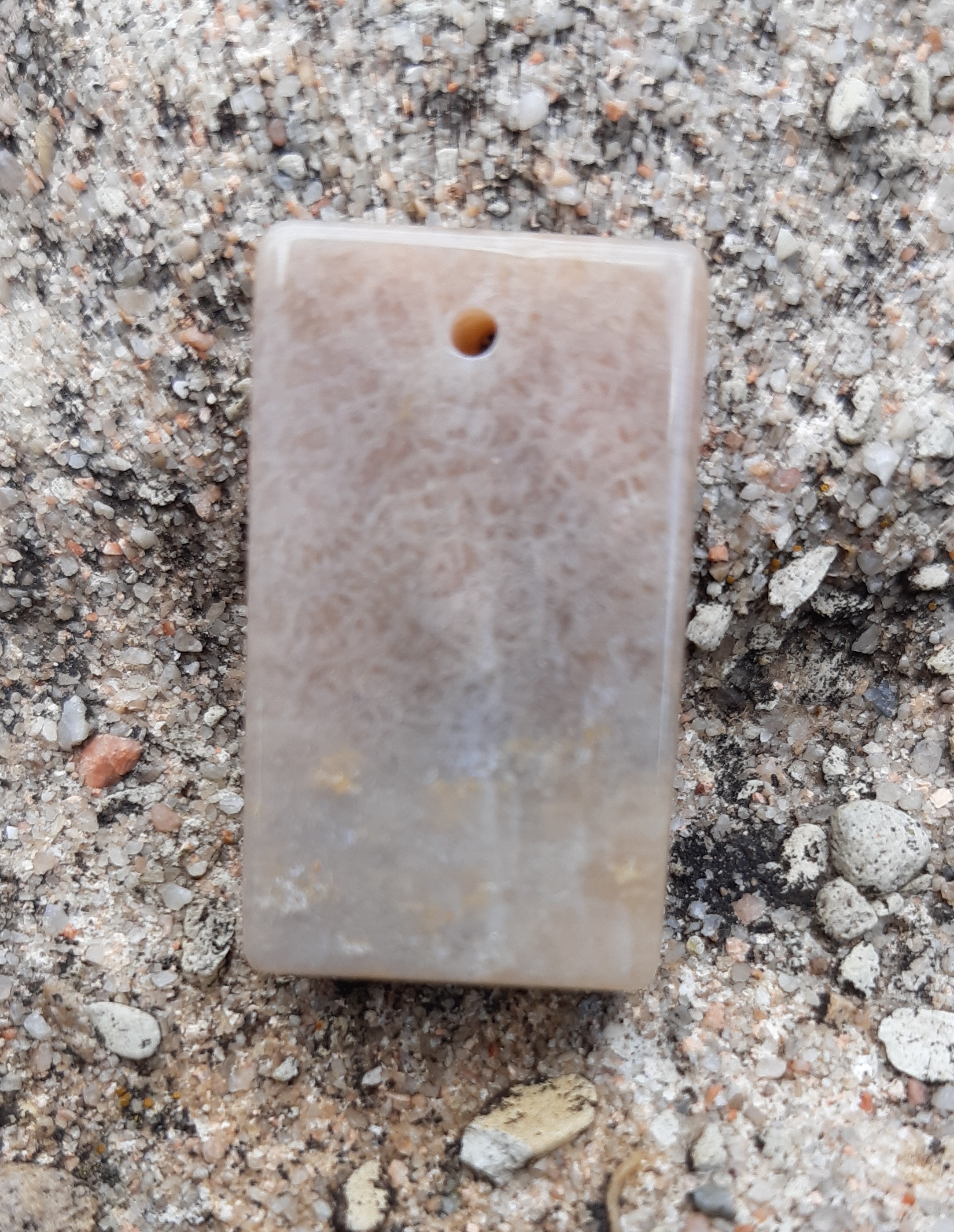 Fosilní korál přívěsek 7g