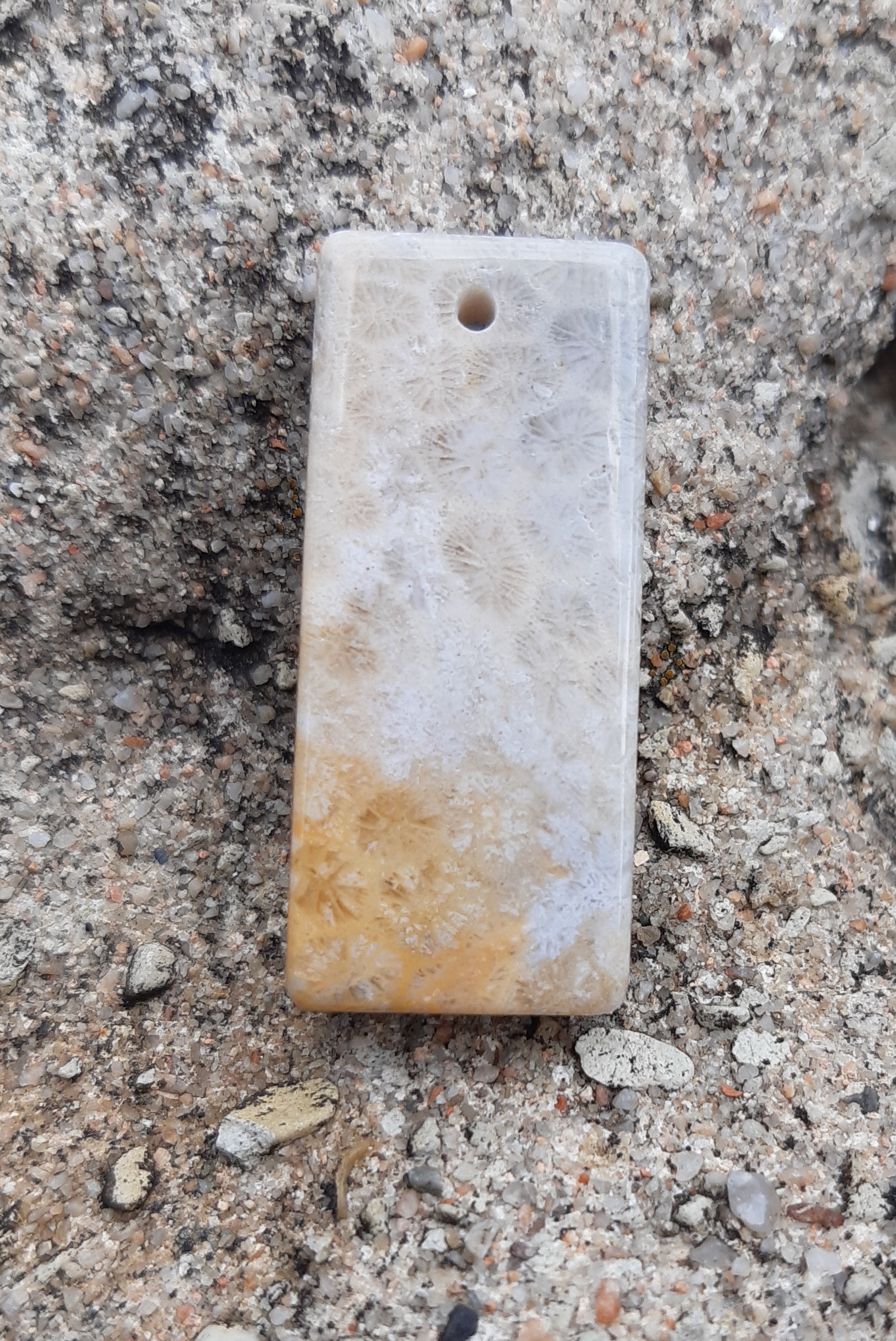 Fosilní korál přívěsek 9g