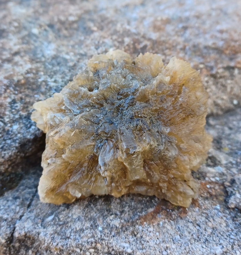 Sádrovec ČR 55g