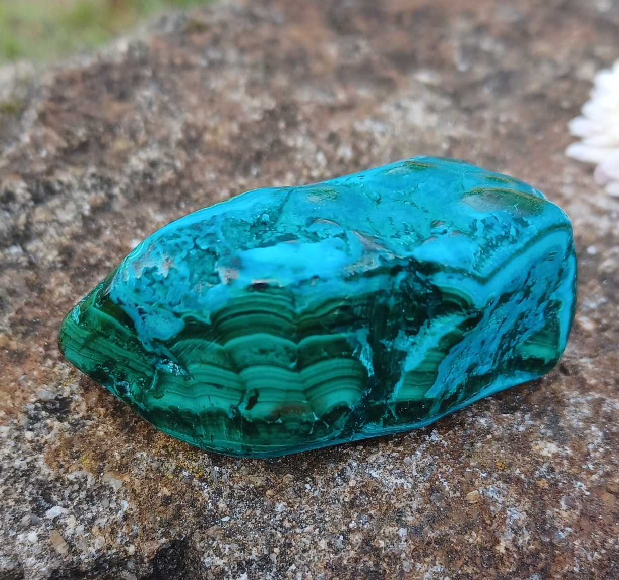 Malachit s chryzokolem 65g