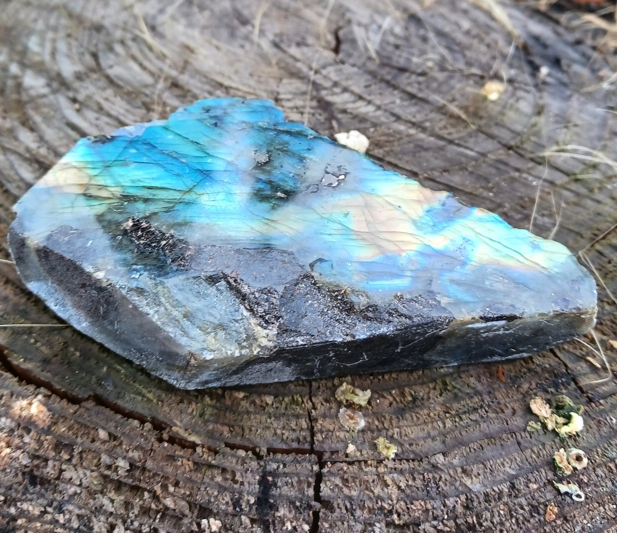 Labradorit řez 300g