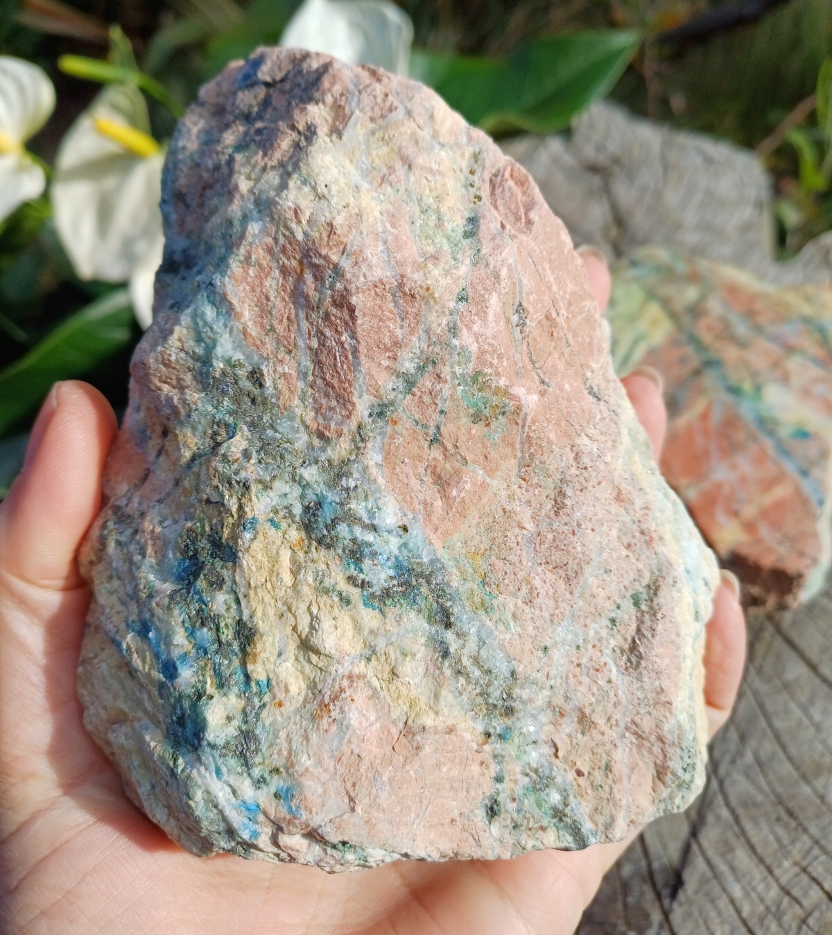 Harlekinit 770g