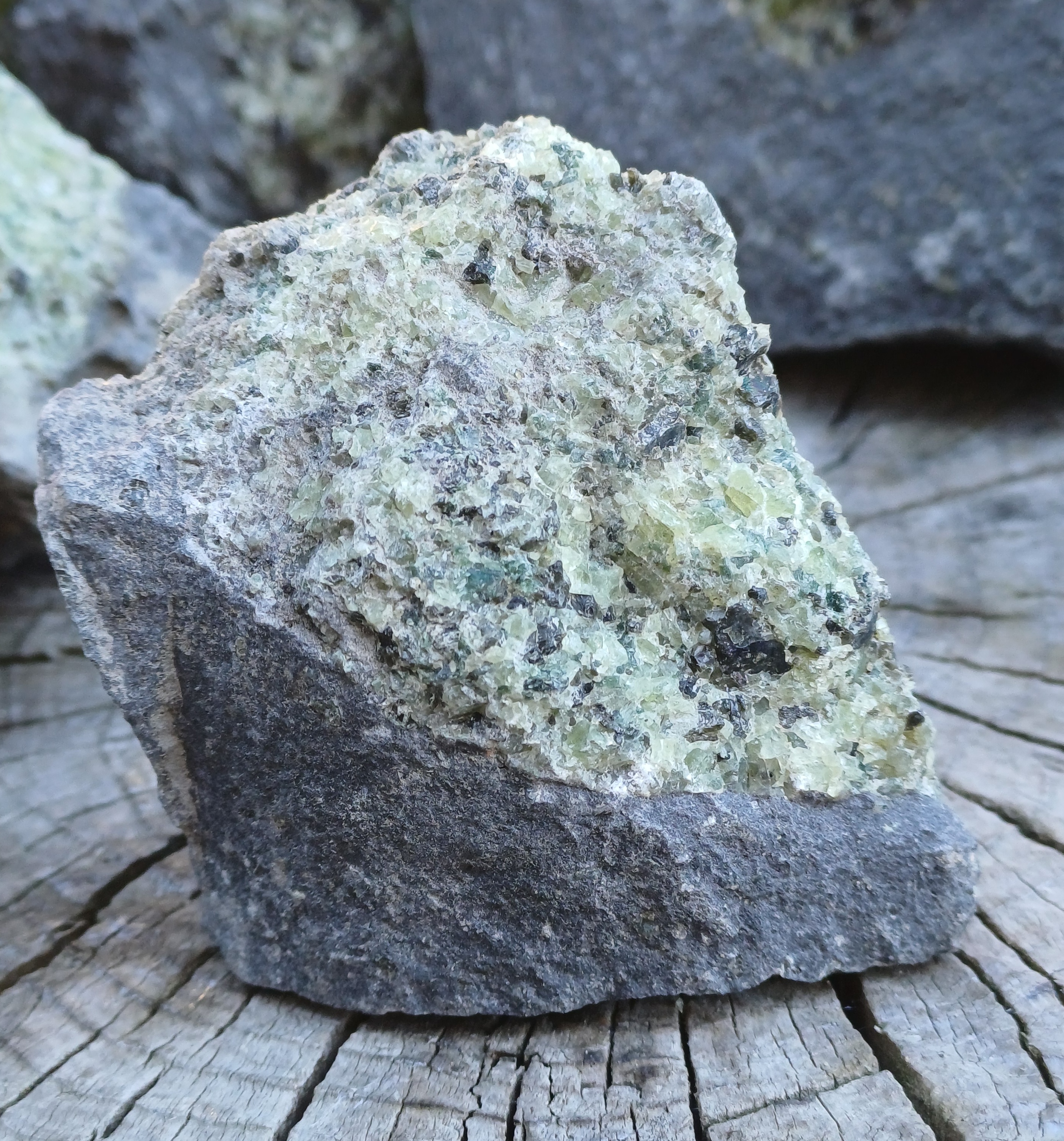 Olivín ČR 155g