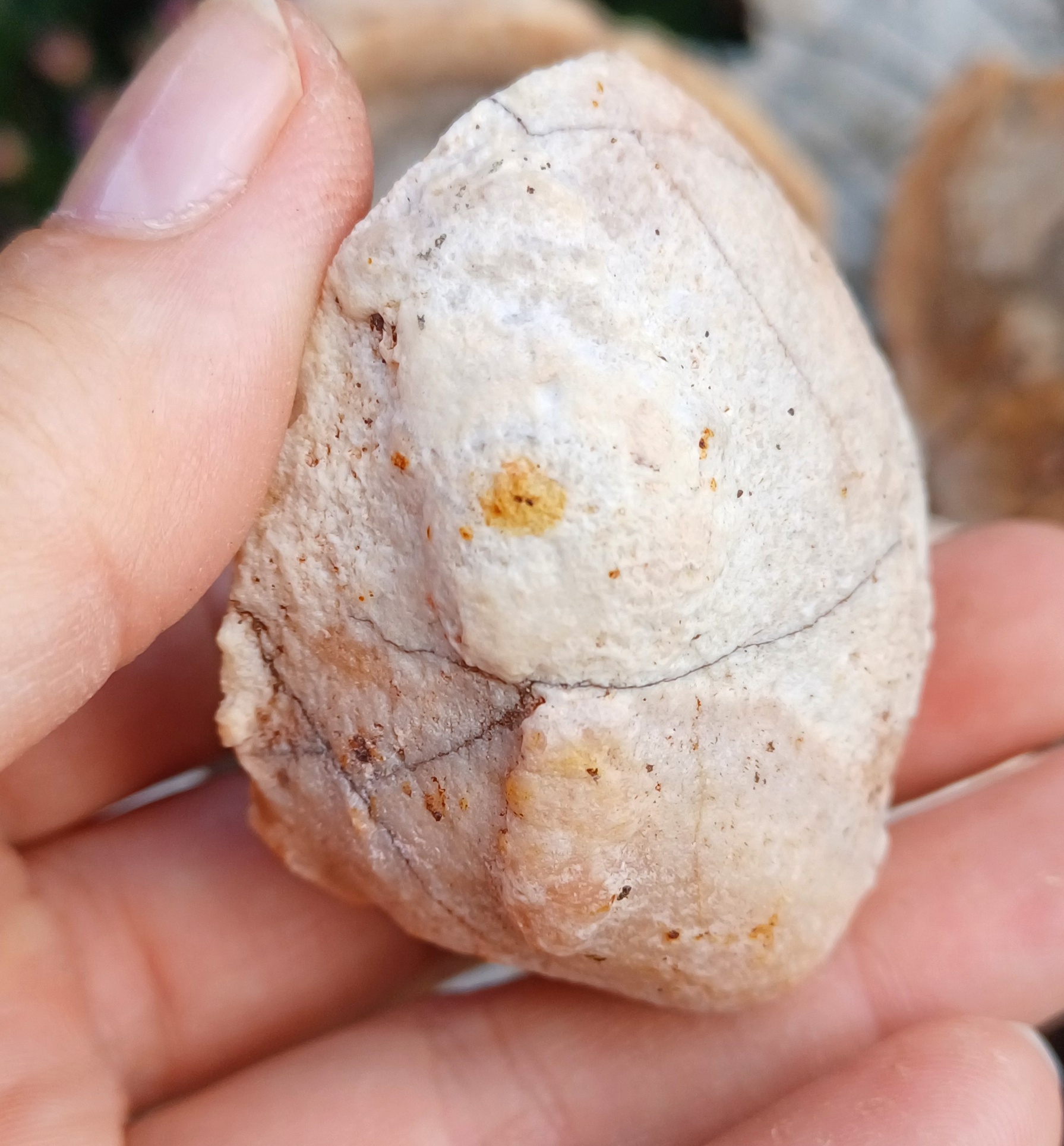 Kvarcín ČR 75g