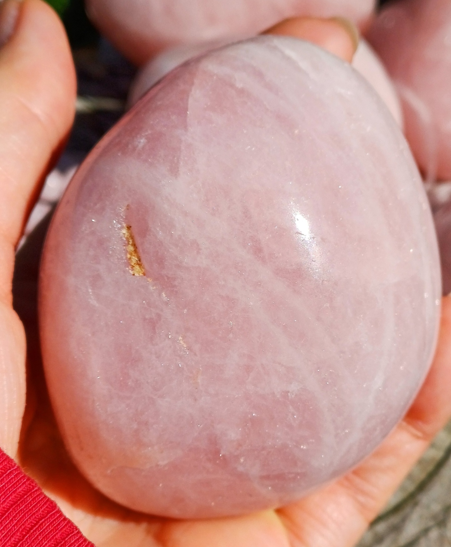 Růženín 350g