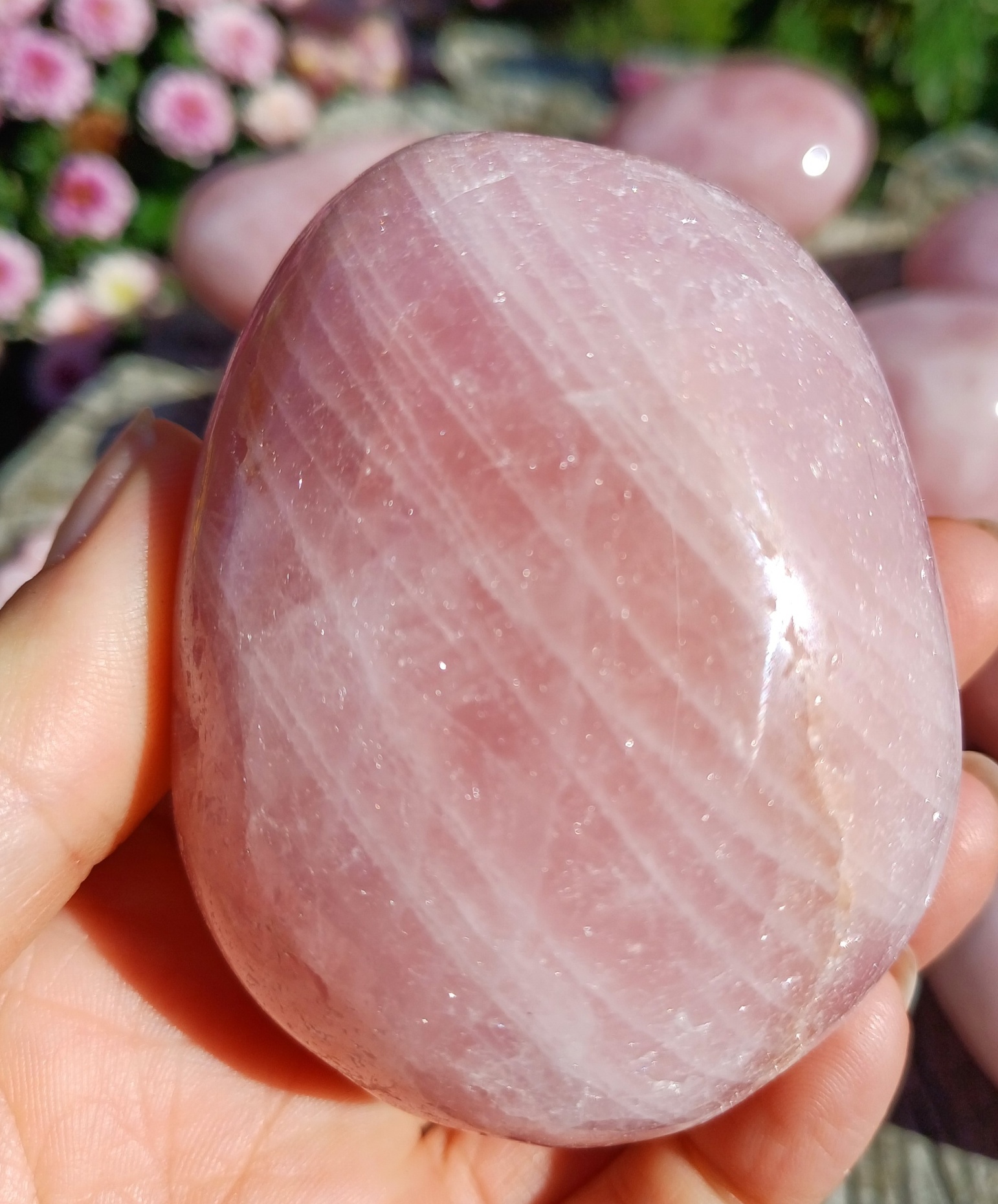 Růženín 240g