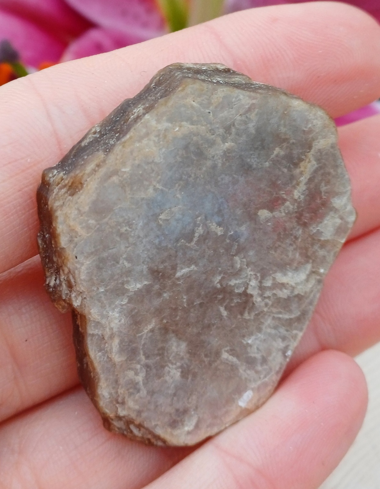 Lepidolit 19g