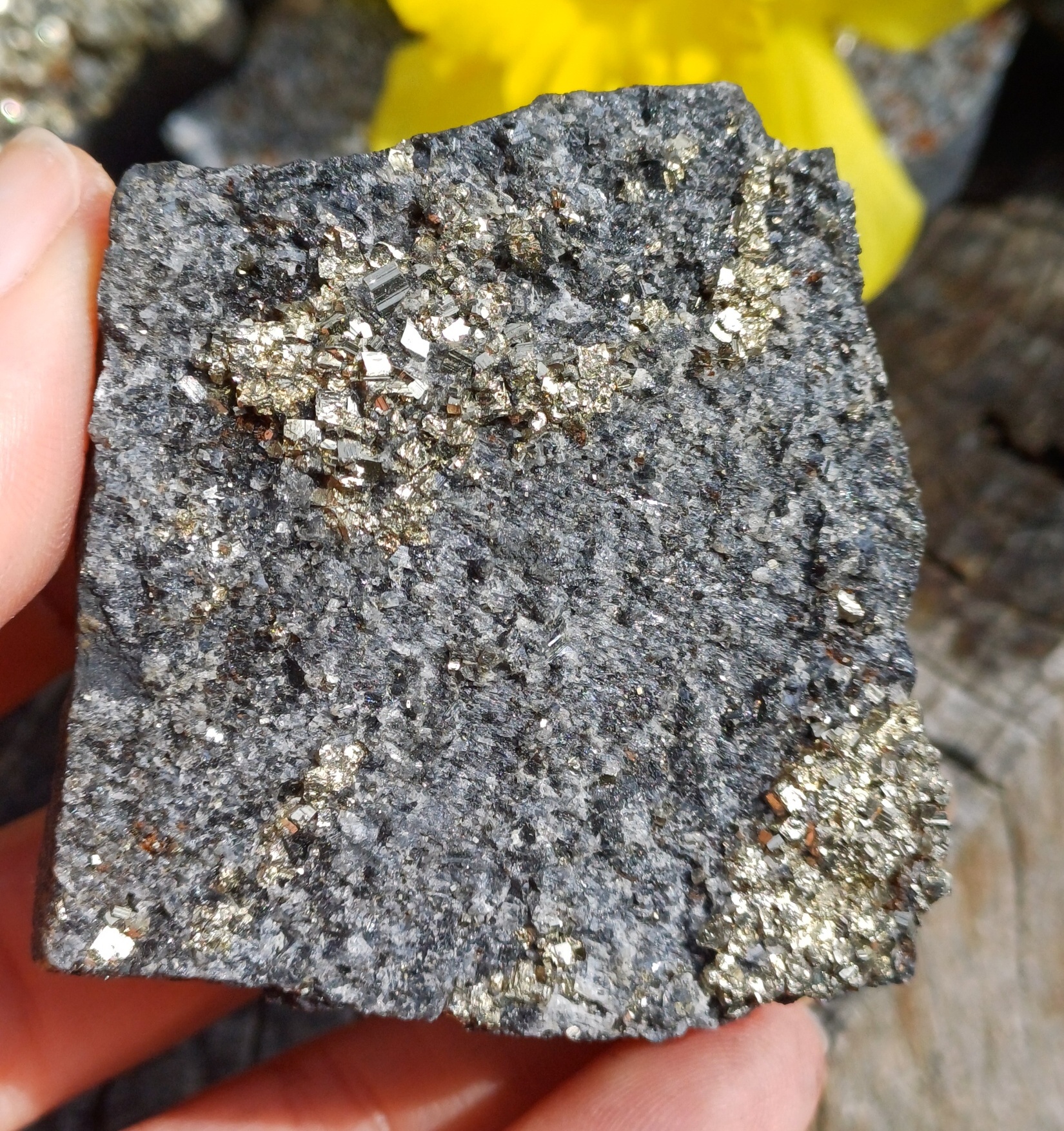 Pyrit na uhlí 110g