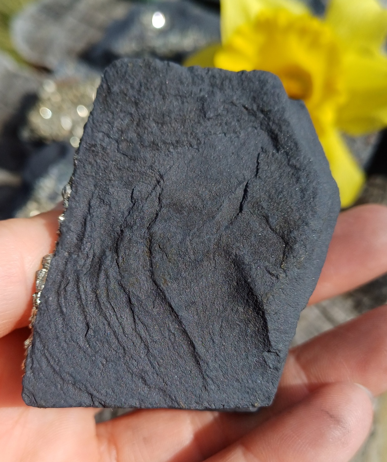 Pyrit na uhlí 125g