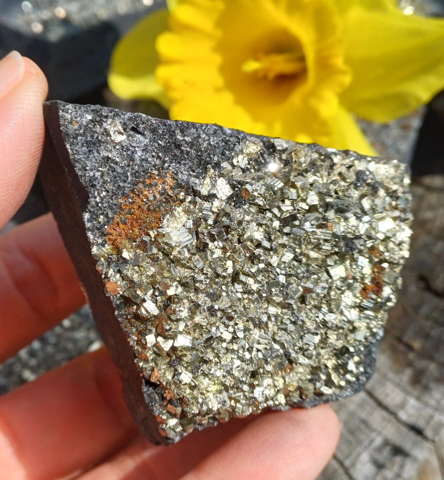 Pyrit na uhlí 105g